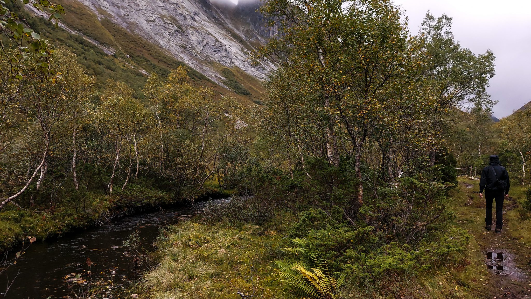 Wanderung im Naturreservat Skorgeura, Naturschutzgebiet in Norwegen, Wanderweg führt entlang eines Baches durch schönes Tal
