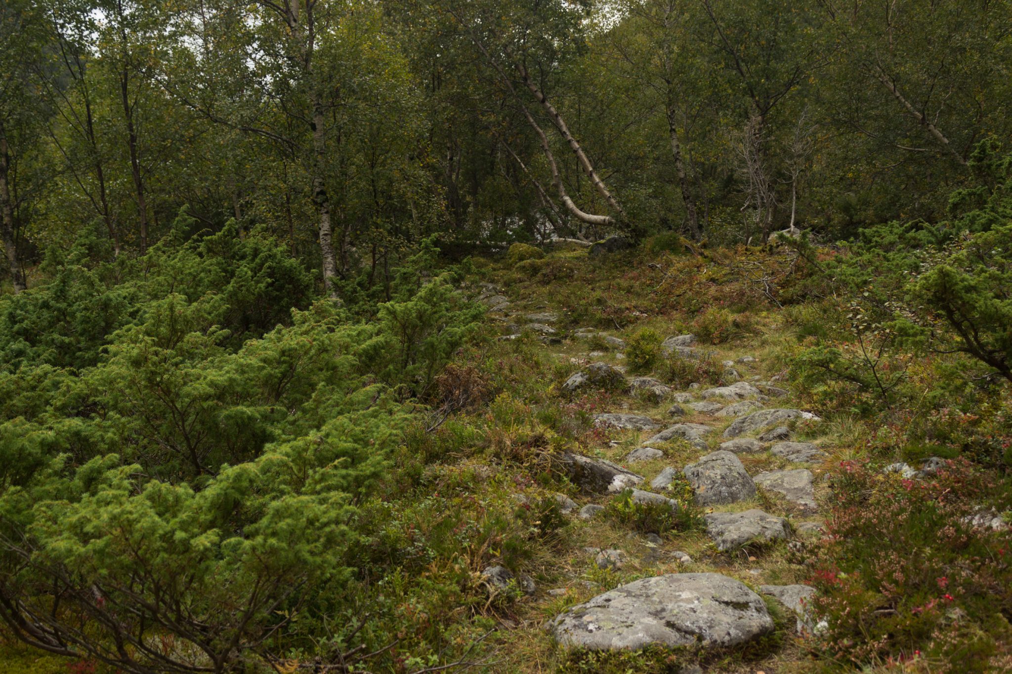 Wanderung im Naturreservat Skorgeura, Naturschutzgebiet in Norwegen, Wanderweg führt durch schönes Tal