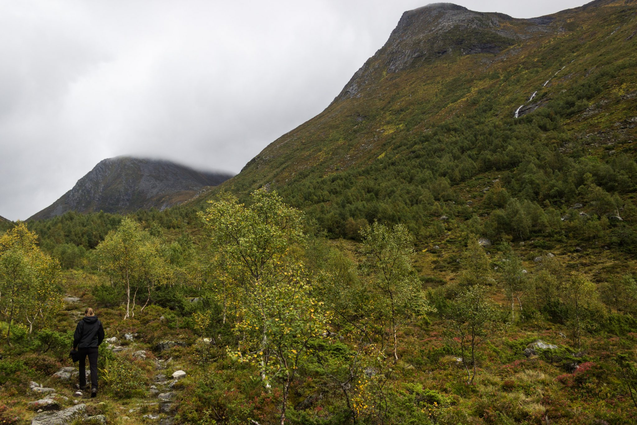 Wanderung im Naturreservat Skorgeura, Naturschutzgebiet in Norwegen, Wanderweg führt durch schönes Tal, beiderseits aufragende Berge