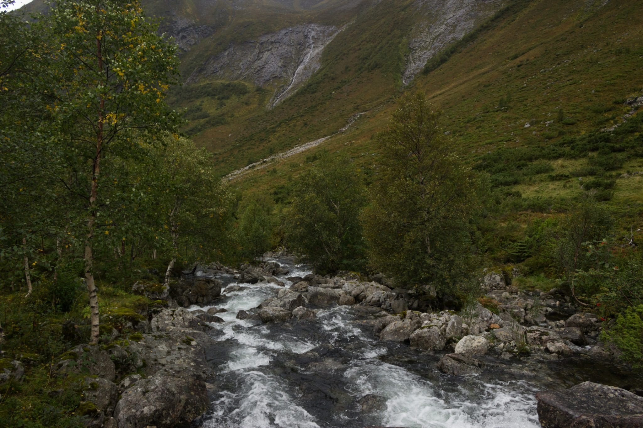 Wanderung im Naturreservat Skorgeura, Naturschutzgebiet in Norwegen, Wanderweg führt entlang eines Baches durch schönes Tal, beiderseits aufragende Berge
