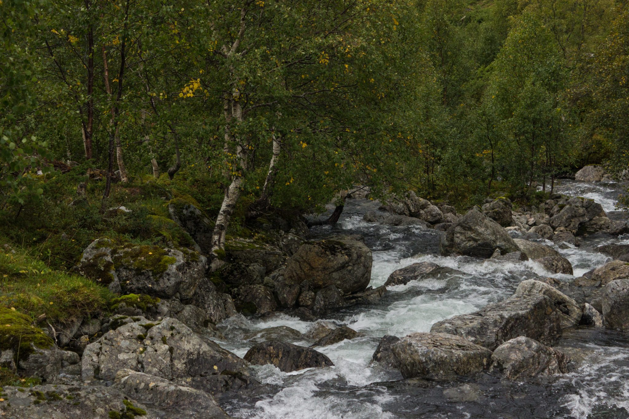 Wanderung im Naturreservat Skorgeura, Naturschutzgebiet in Norwegen, Wanderweg führt entlang eines Baches durch schönes Tal umgeben von schönem Wald