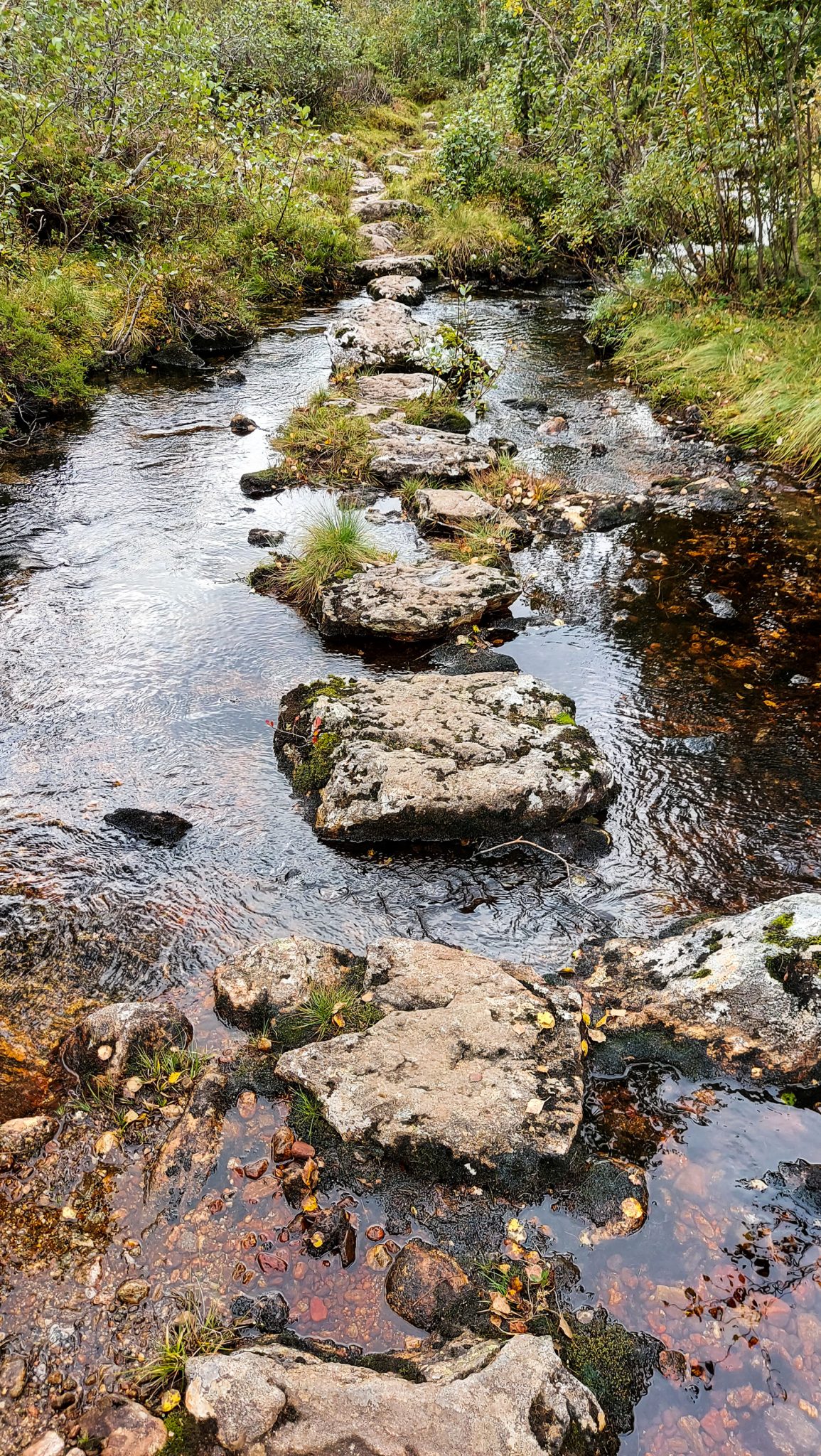 Wanderung im Naturreservat Skorgeura, Naturschutzgebiet in Norwegen, Wanderweg führt entlang eines Baches durch schönen Wald