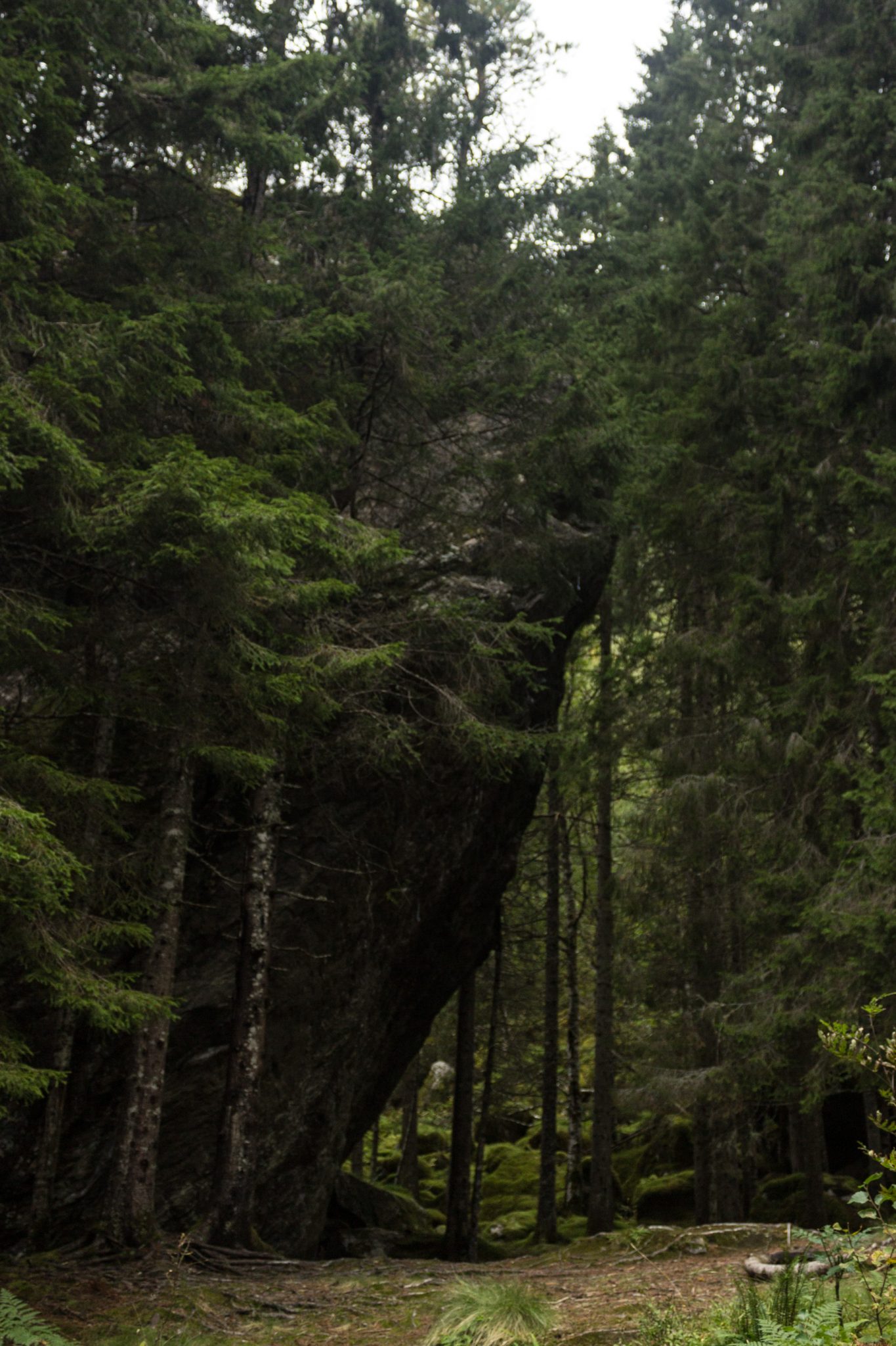 Wanderung im Naturreservat Skorgeura, Naturschutzgebiet in Norwegen, großer Felsen steht im schönen Wald