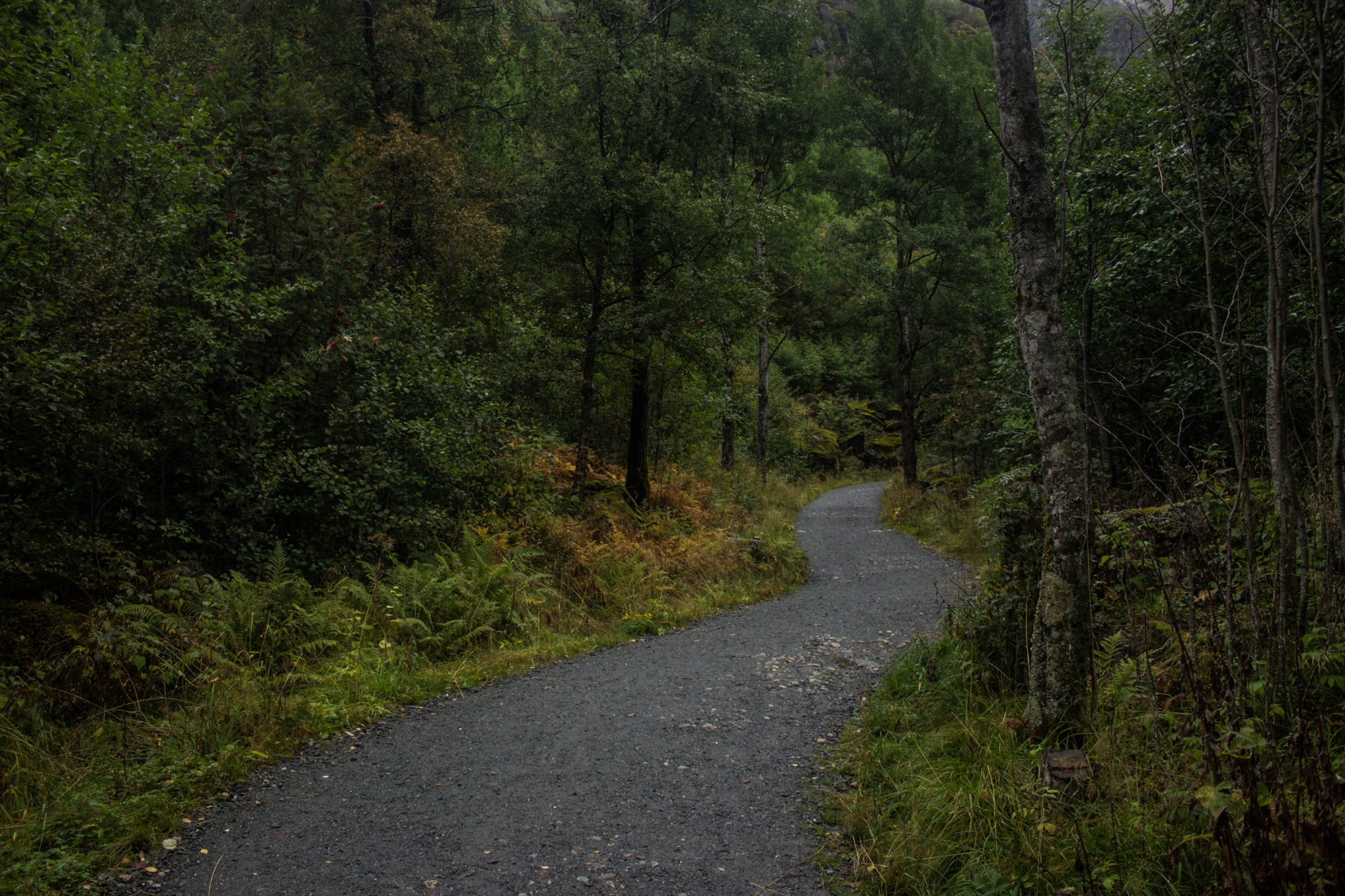 Wanderung zum Briksdalsbreen Gletscher, Seitenarm des Jostedalsbreen, Wandern im Jostedalsbreen Nationalpark in Norwegen, sehr beeindruckende Landschaft im Briksdal, Blick auf den Wanderweg