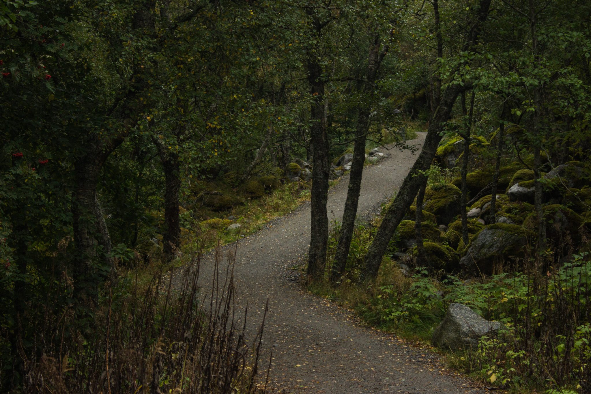 Wanderung zum Briksdalsbreen Gletscher, Seitenarm des Jostedalsbreen, Wandern im Jostedalsbreen Nationalpark in Norwegen, sehr beeindruckende Landschaft im Briksdal, Blick auf den Wanderweg zum Gletscher