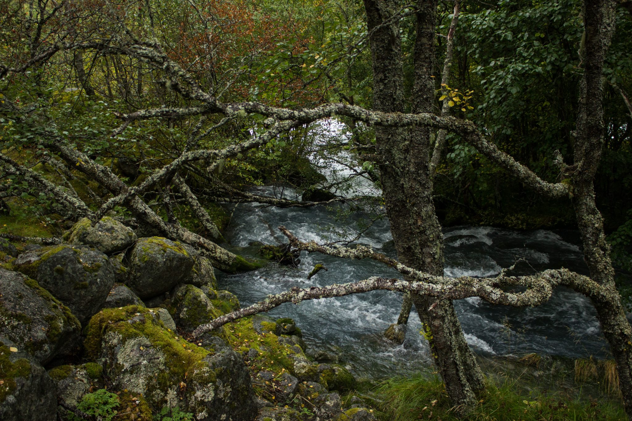 Wanderung zum Briksdalsbreen Gletscher, Seitenarm des Jostedalsbreen, Wandern im Jostedalsbreen Nationalpark in Norwegen, sehr beeindruckende Landschaft im Briksdal, Blick auf den Gletscherfluss und den umliegenden Wald