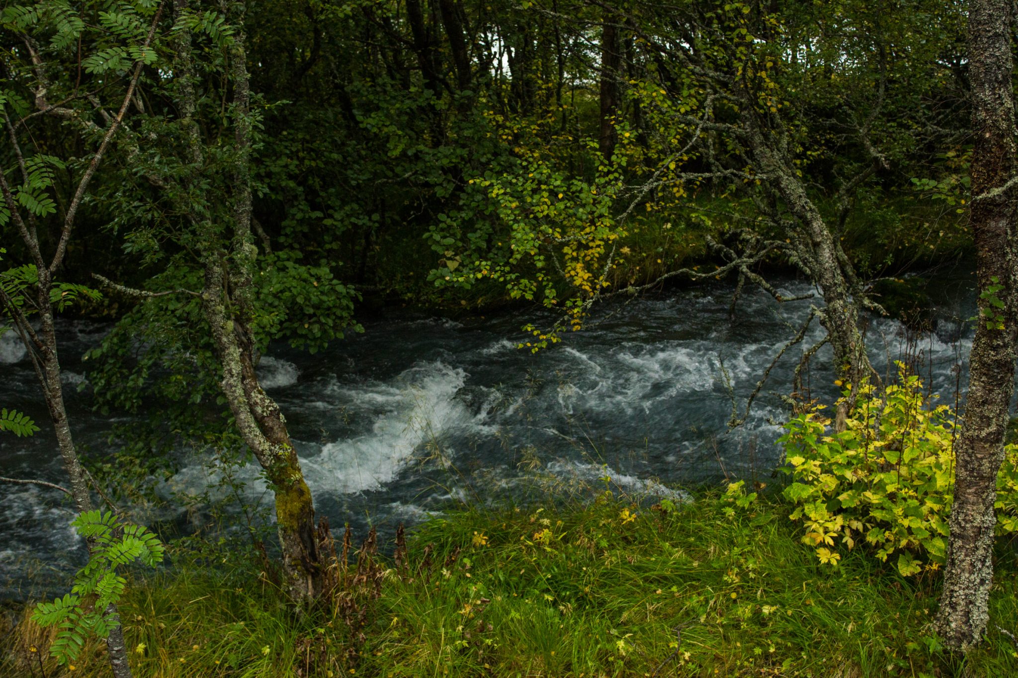 Wanderung zum Briksdalsbreen Gletscher, Seitenarm des Jostedalsbreen, Wandern im Jostedalsbreen Nationalpark in Norwegen, sehr beeindruckende Landschaft im Briksdal, Blick auf den Gletscherfluss und den umliegenden Wald