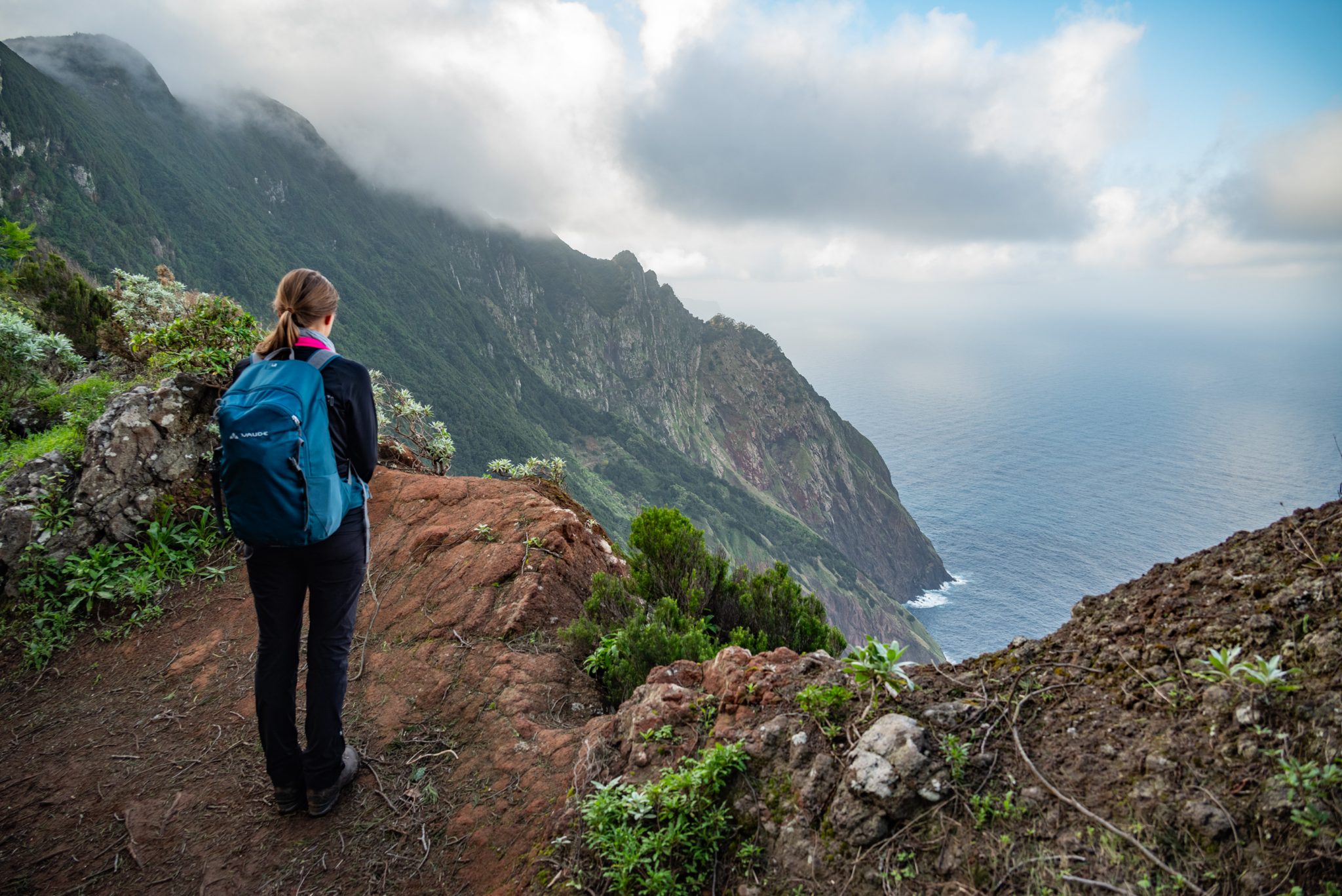 Küstenwanderung von Porto da Cruz nach Machico, Wanderweg durch schönen Wald mit Farne im Landesinneren und Küstenweg Vereda do Larano bis zum Aussichtspunkt Boca do Risco, eine der schönsten Wanderungen auf der Insel Madeira, Portugal