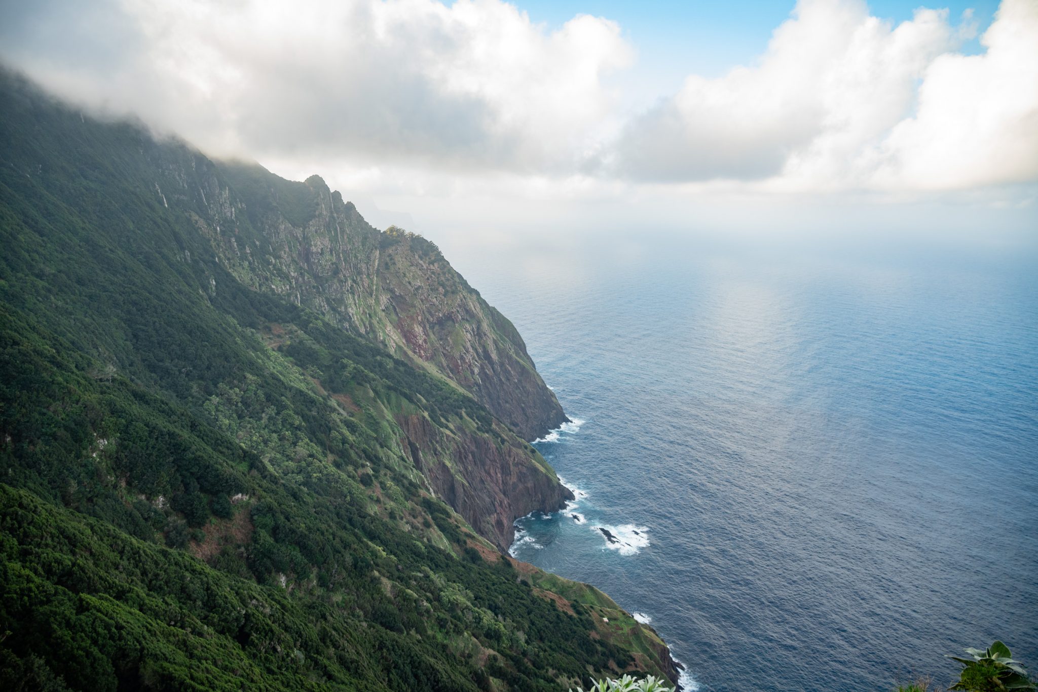 Küstenwanderung von Porto da Cruz nach Machico, Wanderweg durch schönen Wald mit Farne im Landesinneren und Küstenweg Vereda do Larano bis zum Aussichtspunkt Boca do Risco, eine der schönsten Wanderungen auf der Insel Madeira, Portugal