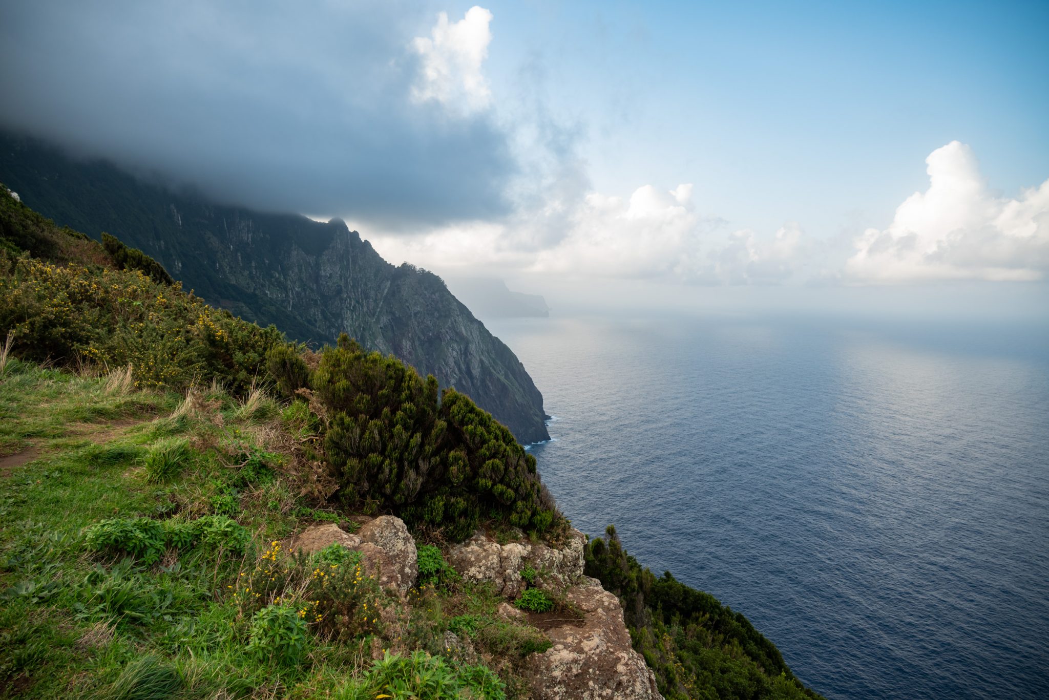 Küstenwanderung von Porto da Cruz nach Machico, Wanderweg durch schönen Wald mit Farne im Landesinneren und Küstenweg Vereda do Larano bis zum Aussichtspunkt Boca do Risco, eine der schönsten Wanderungen auf der Insel Madeira, Portugal