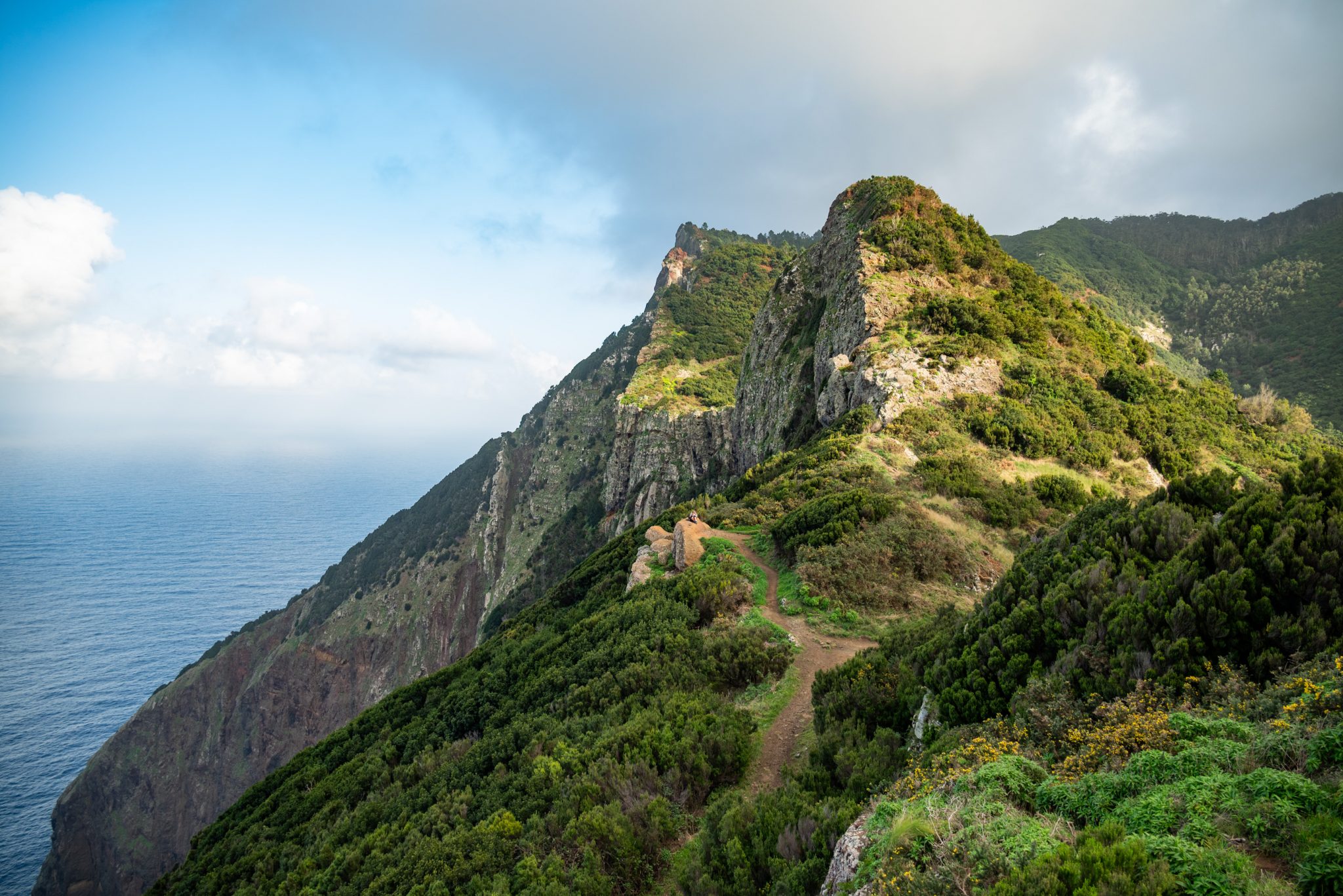 Küstenwanderung von Porto da Cruz nach Machico, Wanderweg durch schönen Wald mit Farne im Landesinneren und Küstenweg Vereda do Larano bis zum Aussichtspunkt Boca do Risco, eine der schönsten Wanderungen auf der Insel Madeira, Portugal