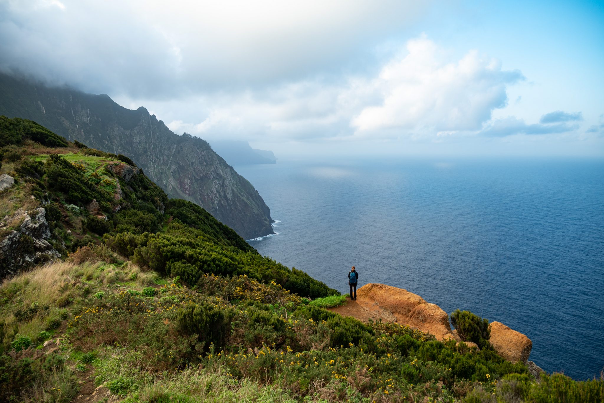 Küstenwanderung von Porto da Cruz nach Machico, Wanderweg durch schönen Wald mit Farne im Landesinneren und Küstenweg Vereda do Larano bis zum Aussichtspunkt Boca do Risco, eine der schönsten Wanderungen auf der Insel Madeira, Portugal