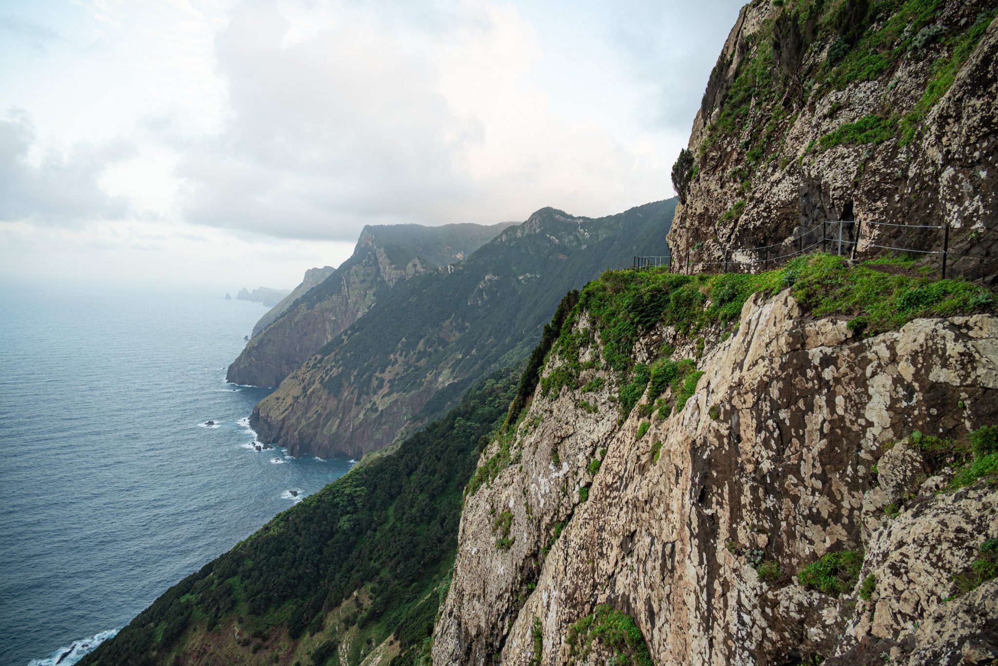 Küstenwanderung von Porto da Cruz nach Machico, Wanderweg durch schönen Wald mit Farne im Landesinneren und Küstenweg Vereda do Larano bis zum Aussichtspunkt Boca do Risco, eine der schönsten Wanderungen auf der Insel Madeira, Portugal