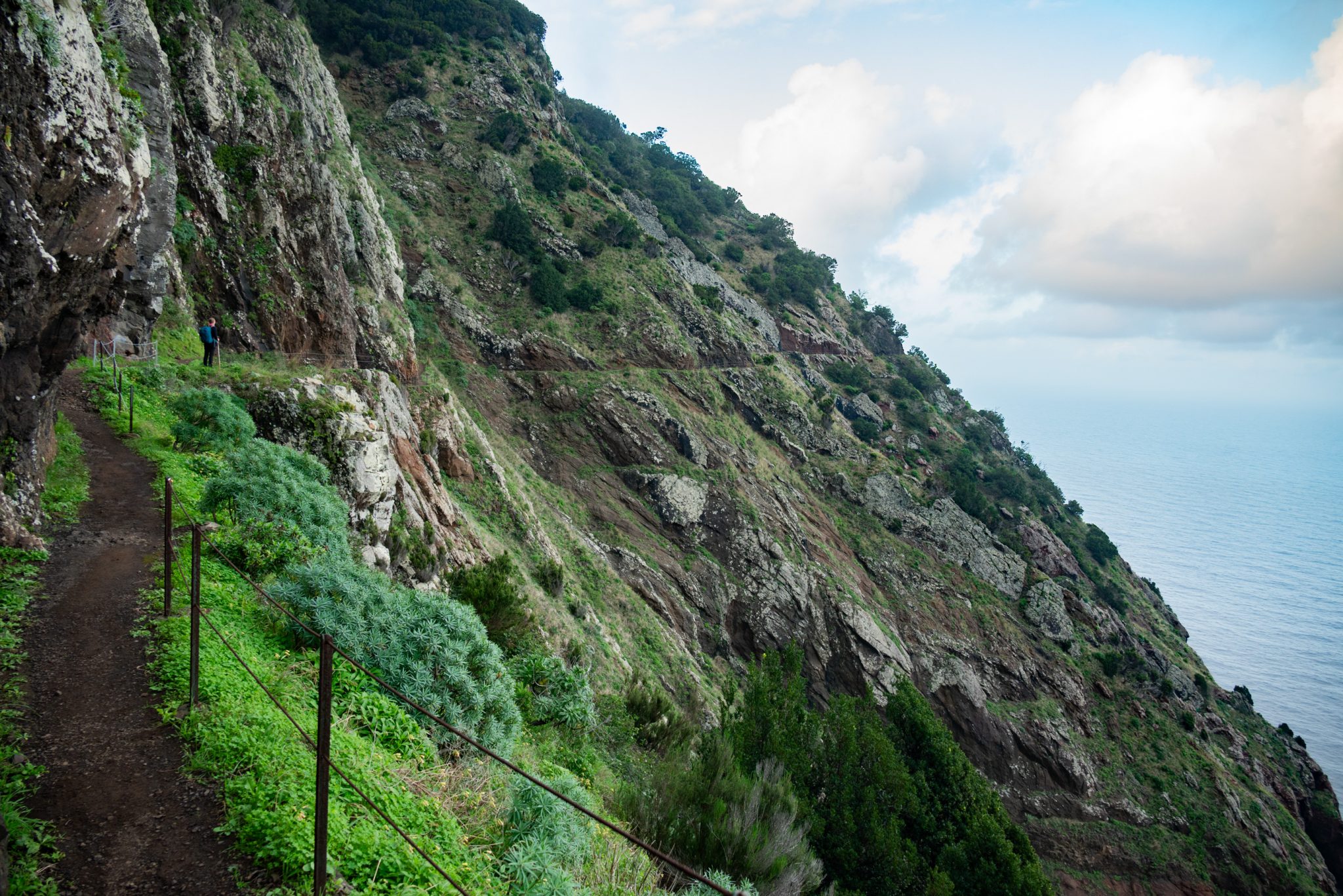 Küstenwanderung von Porto da Cruz nach Machico, Wanderweg durch schönen Wald mit Farne im Landesinneren und Küstenweg Vereda do Larano bis zum Aussichtspunkt Boca do Risco, eine der schönsten Wanderungen auf der Insel Madeira, Portugal