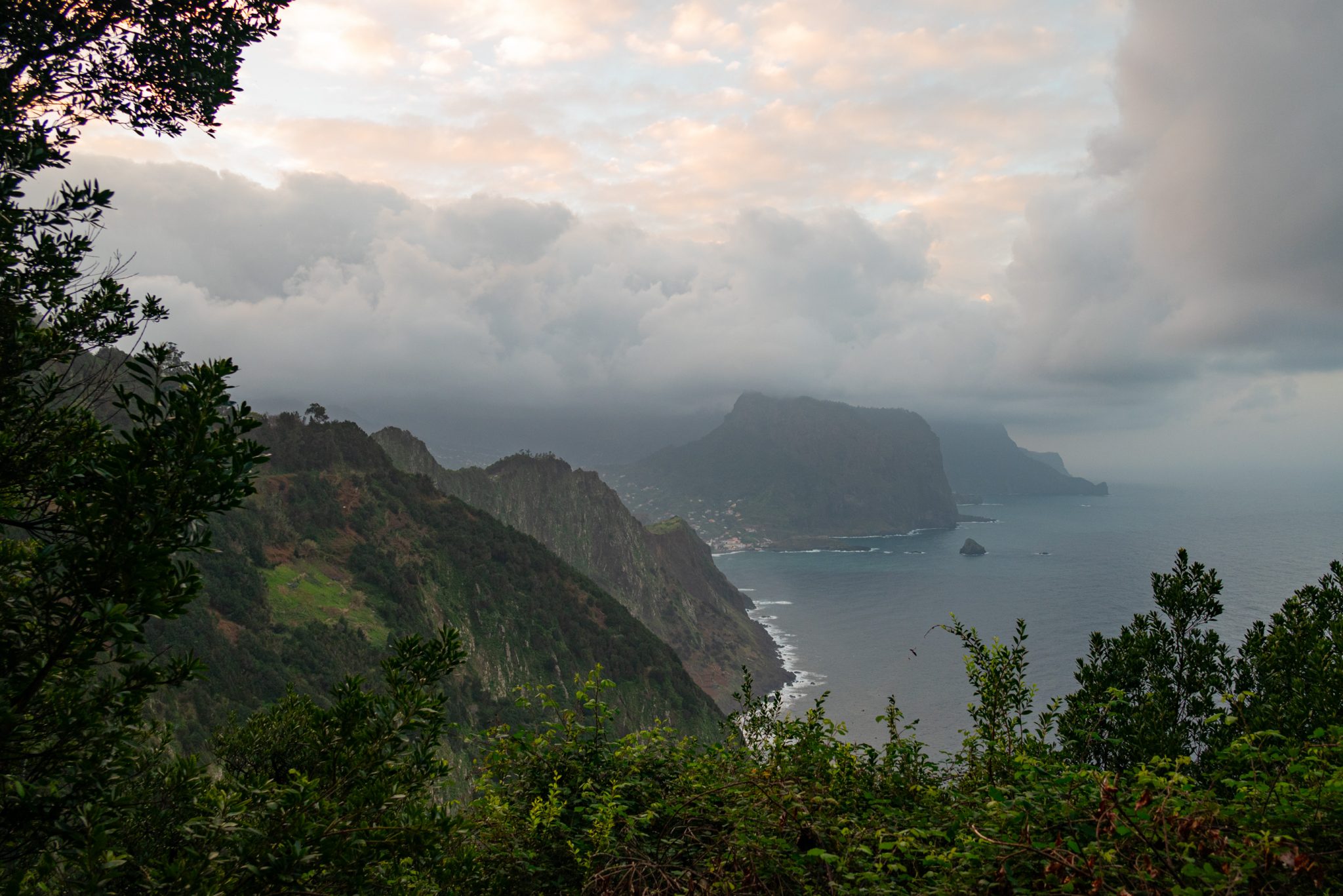 Küstenwanderung von Porto da Cruz nach Machico, Wanderweg durch schönen Wald mit Farne im Landesinneren und Küstenweg Vereda do Larano bis zum Aussichtspunkt Boca do Risco, eine der schönsten Wanderungen auf der Insel Madeira, Portugal