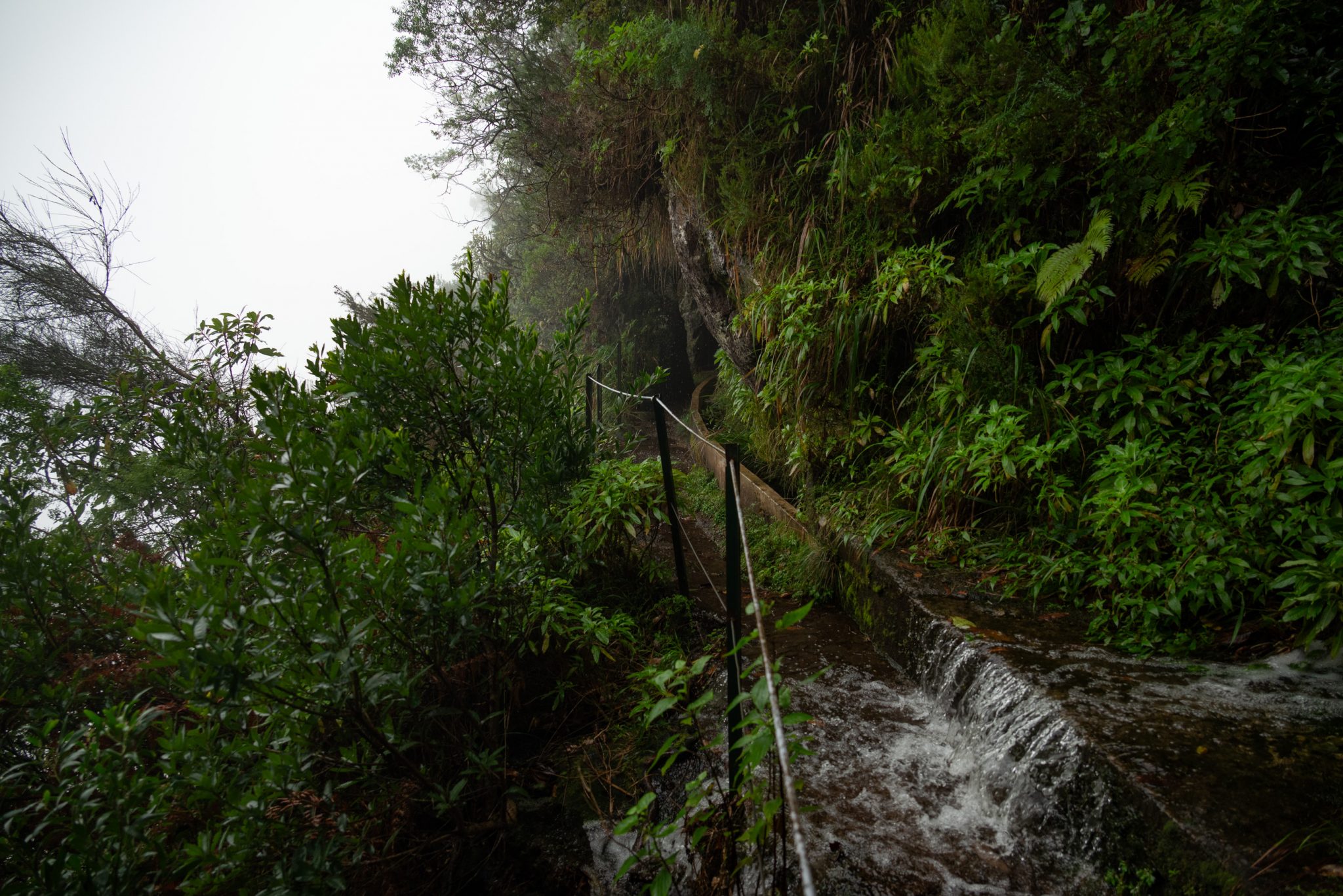 Wanderung von Ribeiro Frio nach Portela entlang der Levada do Furado  auf Madeira durch wunderschönen Lorbeerwald mit traumhaften Aussichten, selbst bei regnerischem Wetter lohnenswert, mystische Atmosphäre