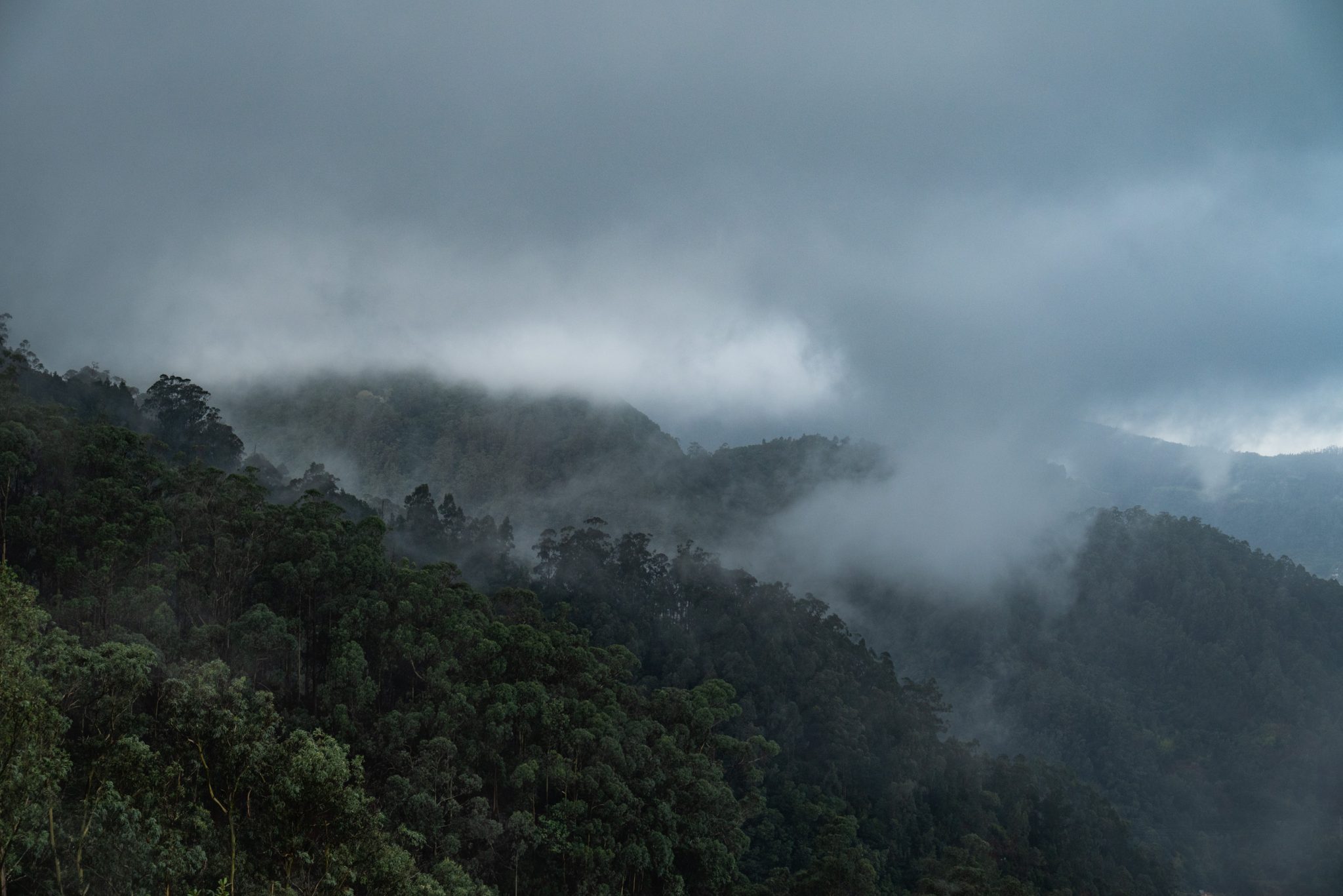 Wanderung von Ribeiro Frio nach Portela entlang der Levada do Furado  auf Madeira durch wunderschönen Lorbeerwald mit traumhaften Aussichten, selbst bei regnerischem Wetter lohnenswert, mystische Atmosphäre