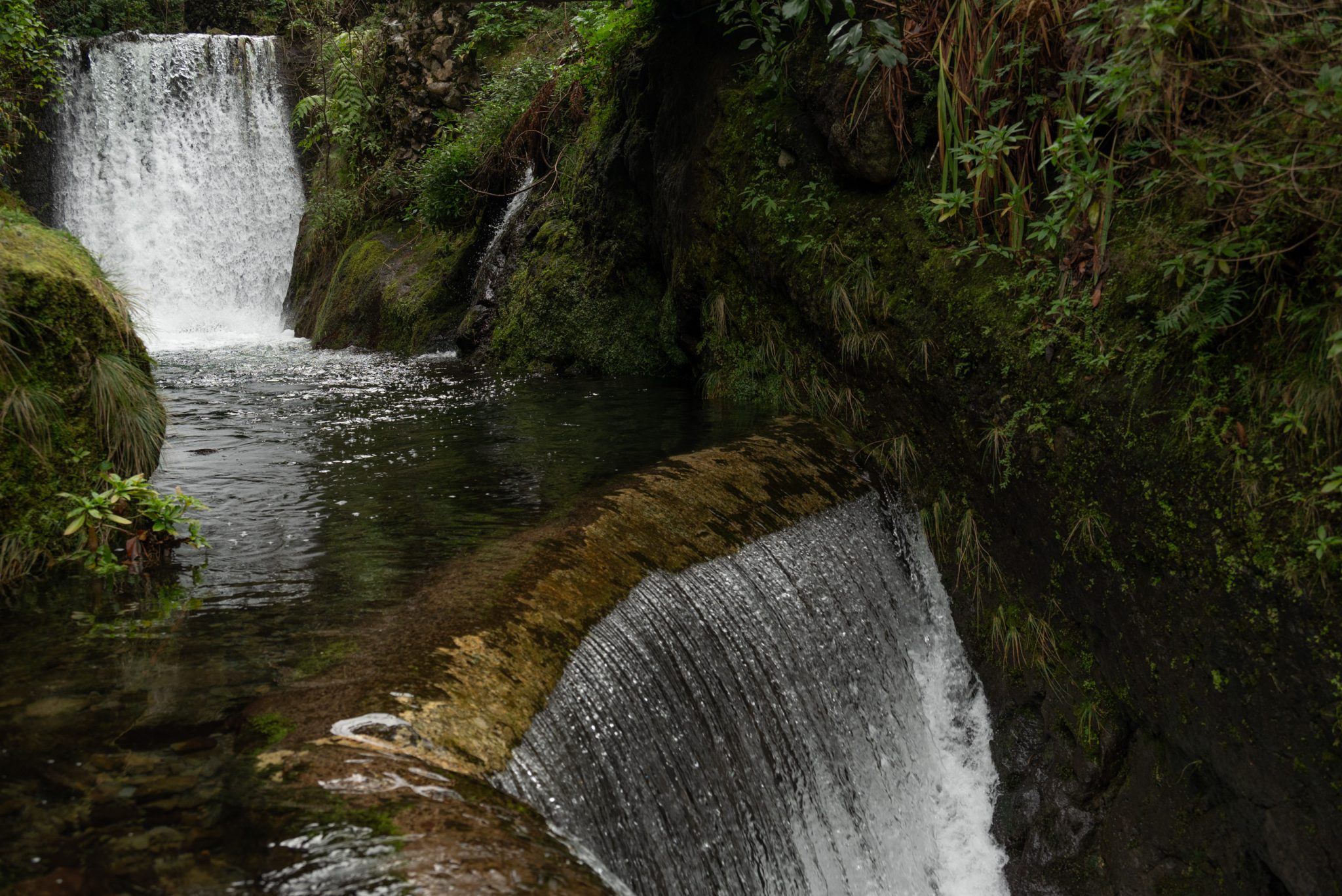 Wanderung von Ribeiro Frio nach Portela entlang der Levada do Furado  auf Madeira durch wunderschönen Lorbeerwald mit traumhaften Aussichten, selbst bei regnerischem Wetter lohnenswert, mystische Atmosphäre