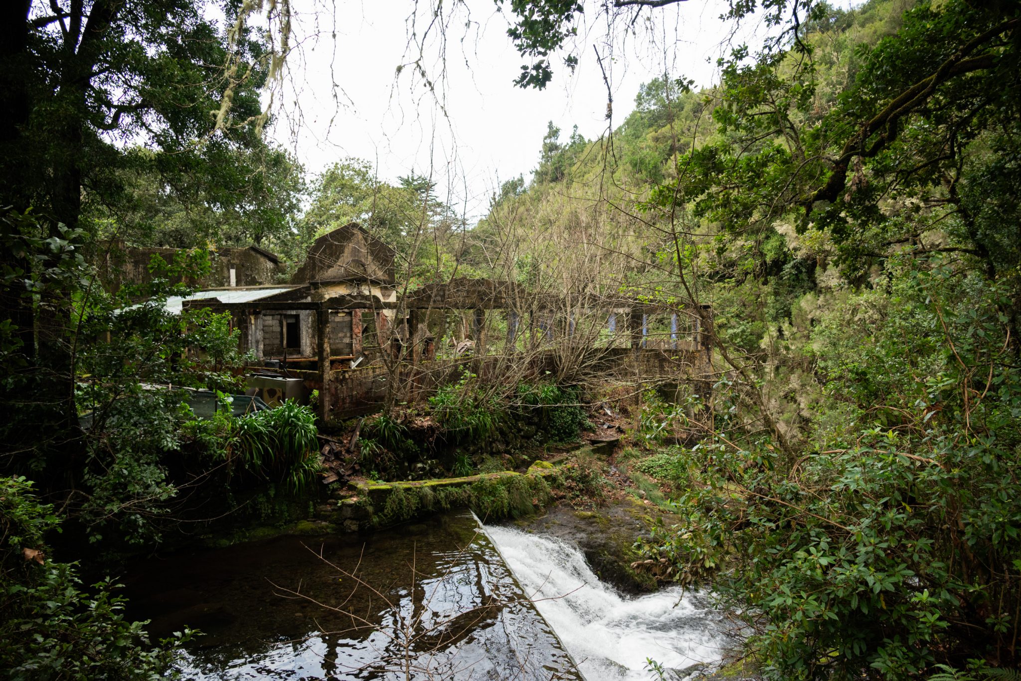 Wanderung von Ribeiro Frio nach Portela entlang der Levada do Furado  auf Madeira durch wunderschönen Lorbeerwald mit traumhaften Aussichten, selbst bei regnerischem Wetter lohnenswert, mystische Atmosphäre