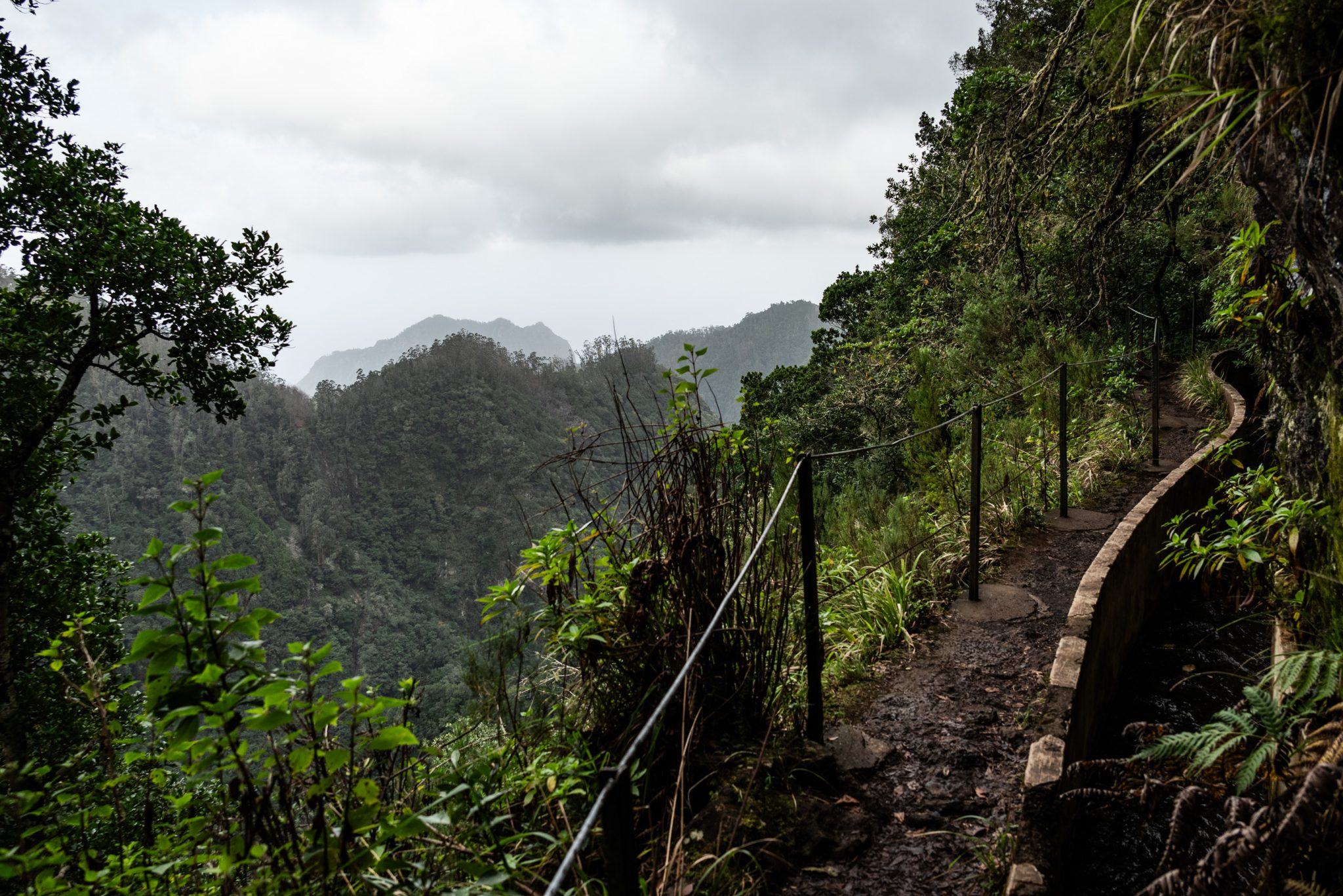 Wanderung von Ribeiro Frio nach Portela entlang der Levada do Furado  auf Madeira durch wunderschönen Lorbeerwald mit traumhaften Aussichten, selbst bei regnerischem Wetter lohnenswert, mystische Atmosphäre