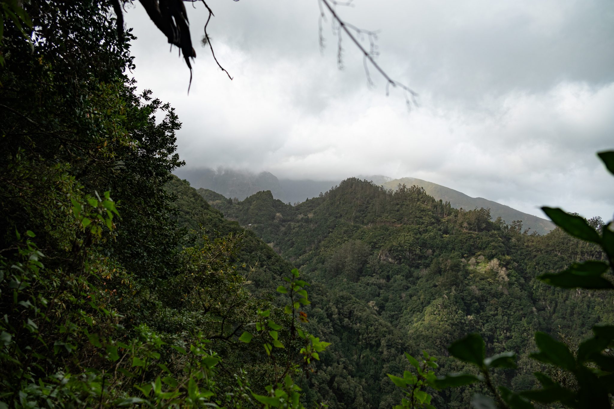 Wanderung von Ribeiro Frio nach Portela entlang der Levada do Furado  auf Madeira durch wunderschönen Lorbeerwald mit traumhaften Aussichten, selbst bei regnerischem Wetter lohnenswert, mystische Atmosphäre