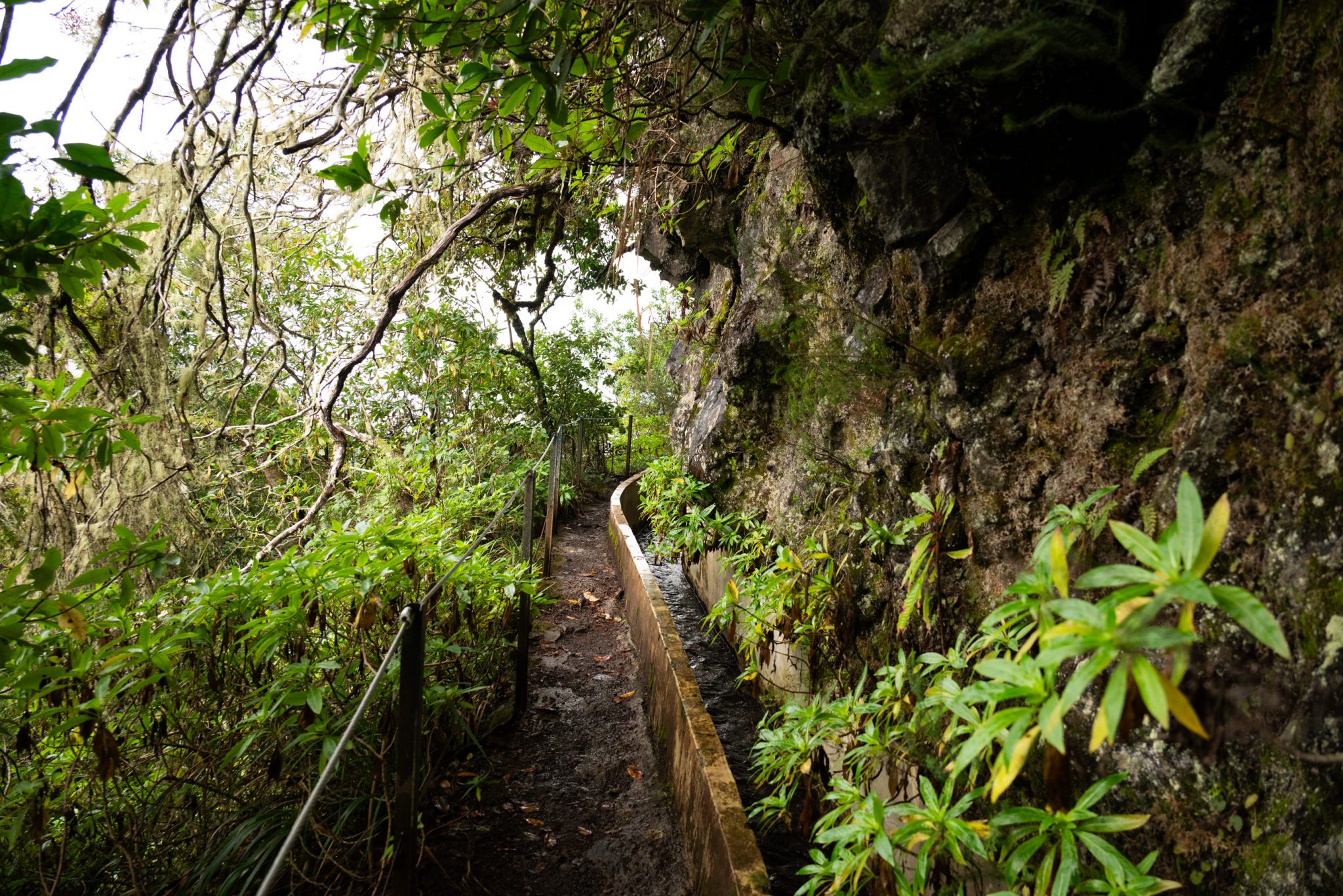 Wanderung von Ribeiro Frio nach Portela entlang der Levada do Furado  auf Madeira durch wunderschönen Lorbeerwald mit traumhaften Aussichten, selbst bei regnerischem Wetter lohnenswert, mystische Atmosphäre