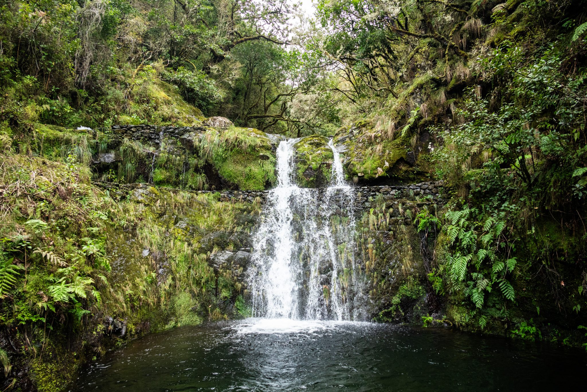 Wanderung von Ribeiro Frio nach Portela entlang der Levada do Furado  auf Madeira durch wunderschönen Lorbeerwald mit traumhaften Aussichten, selbst bei regnerischem Wetter lohnenswert, mystische Atmosphäre