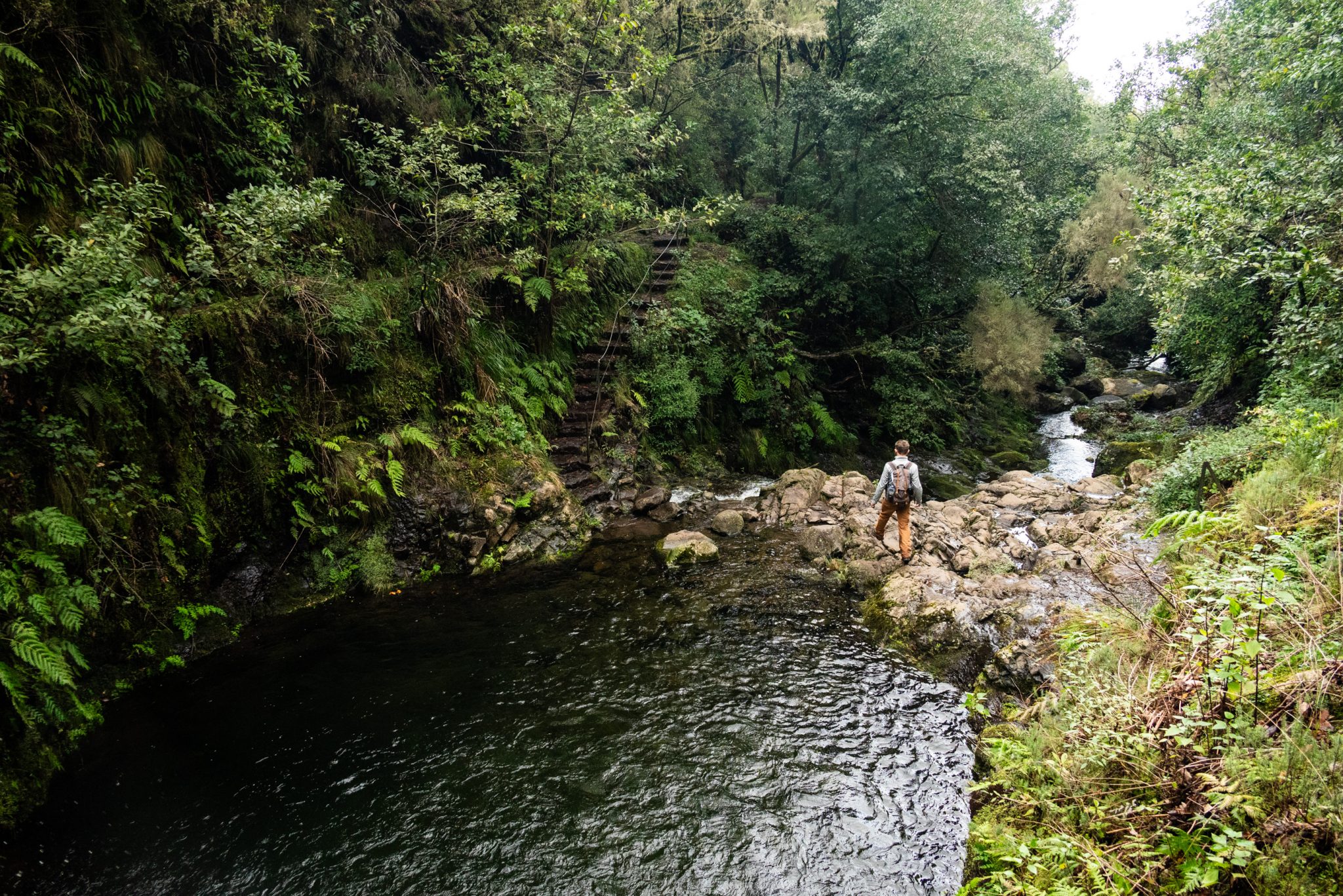 Wanderung von Ribeiro Frio nach Portela entlang der Levada do Furado  auf Madeira durch wunderschönen Lorbeerwald mit traumhaften Aussichten, selbst bei regnerischem Wetter lohnenswert, mystische Atmosphäre