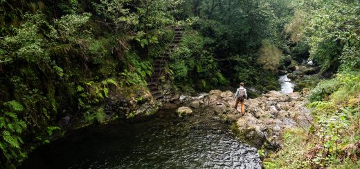Wanderung von Ribeiro Frio nach Portela entlang der Levada do Furado  auf Madeira durch wunderschönen Lorbeerwald mit traumhaften Aussichten, selbst bei regnerischem Wetter lohnenswert, mystische Atmosphäre