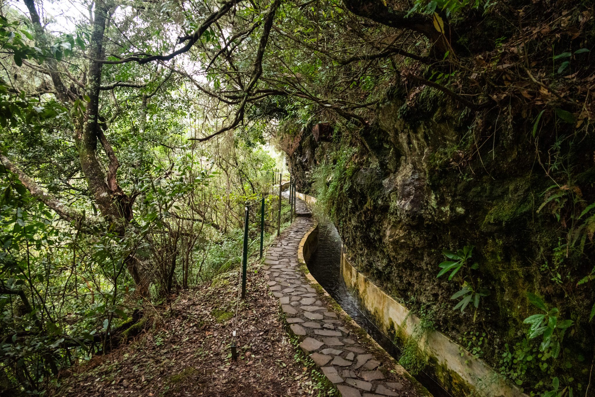 Wanderung von Ribeiro Frio nach Portela entlang der Levada do Furado  auf Madeira durch wunderschönen Lorbeerwald mit traumhaften Aussichten, selbst bei regnerischem Wetter lohnenswert, mystische Atmosphäre