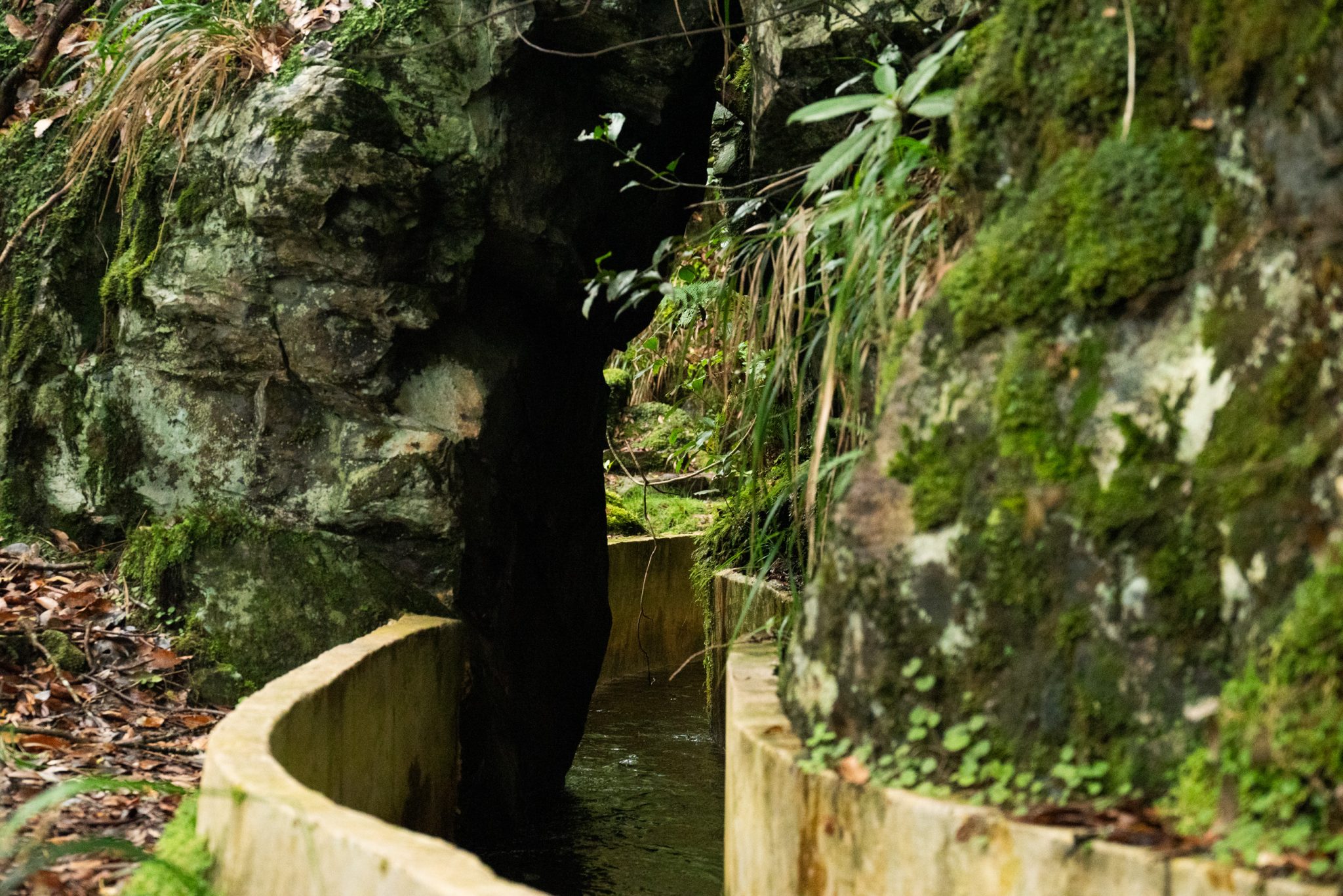 Wanderung von Ribeiro Frio nach Portela entlang der Levada do Furado  auf Madeira durch wunderschönen Lorbeerwald mit traumhaften Aussichten, selbst bei regnerischem Wetter lohnenswert, mystische Atmosphäre