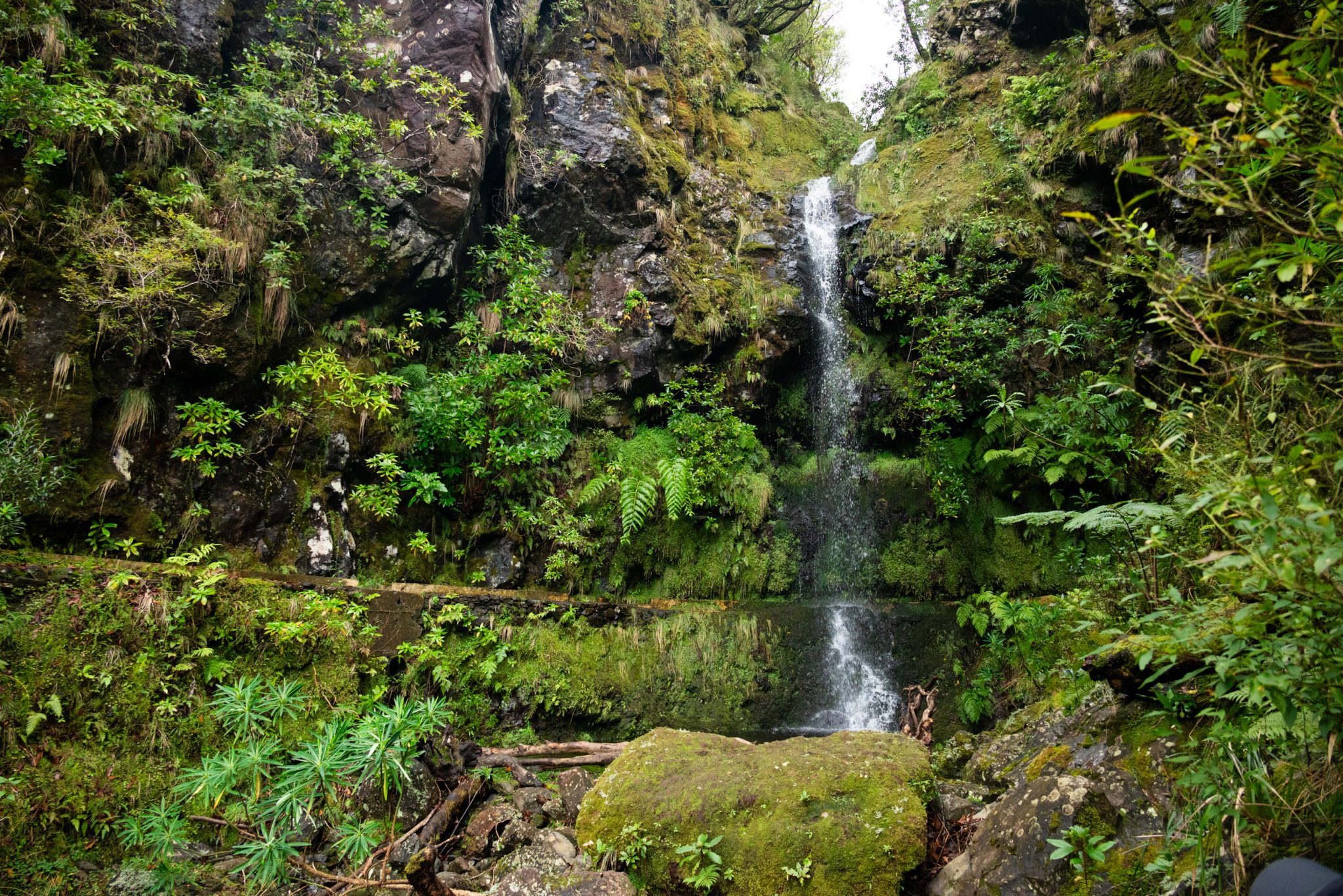 Wanderung von Ribeiro Frio nach Portela entlang der Levada do Furado  auf Madeira durch wunderschönen Lorbeerwald mit traumhaften Aussichten, selbst bei regnerischem Wetter lohnenswert, mystische Atmosphäre
