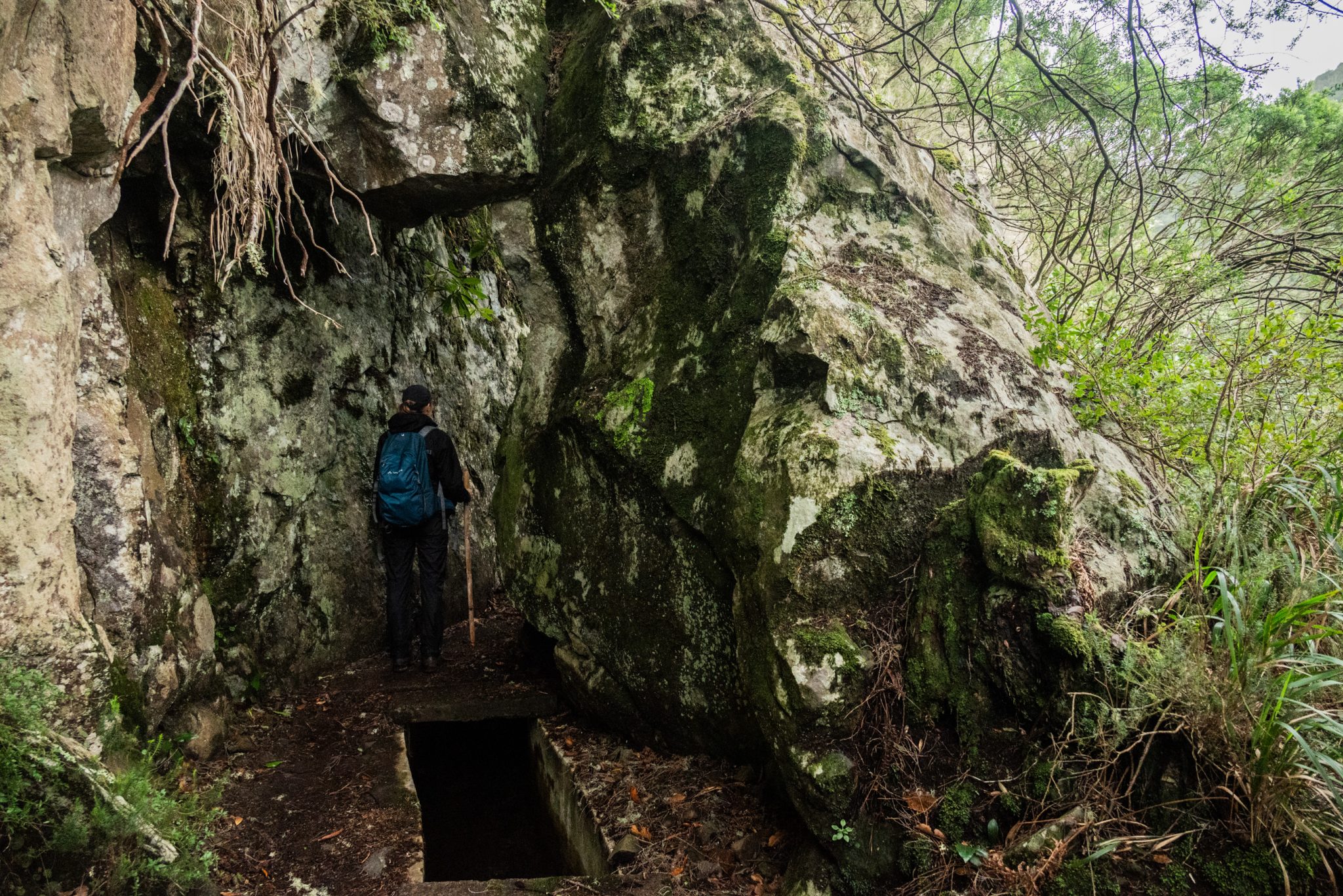 Wanderung von Ribeiro Frio nach Portela entlang der Levada do Furado  auf Madeira durch wunderschönen Lorbeerwald mit traumhaften Aussichten, selbst bei regnerischem Wetter lohnenswert, mystische Atmosphäre
