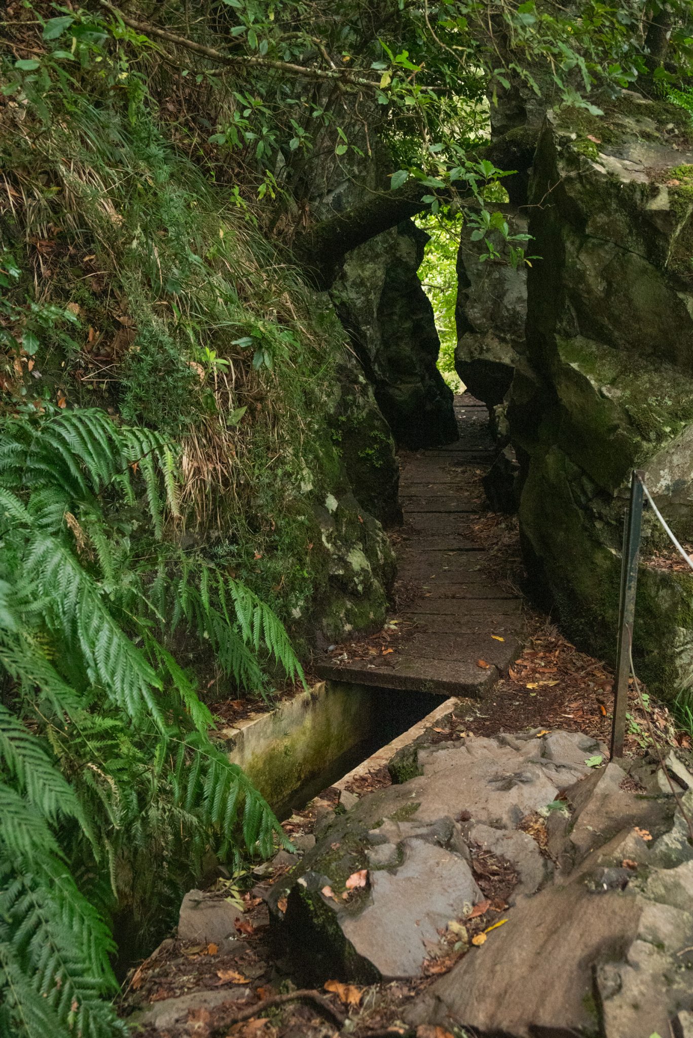Wanderung von Ribeiro Frio nach Portela entlang der Levada do Furado  auf Madeira durch wunderschönen Lorbeerwald mit traumhaften Aussichten, selbst bei regnerischem Wetter lohnenswert, mystische Atmosphäre