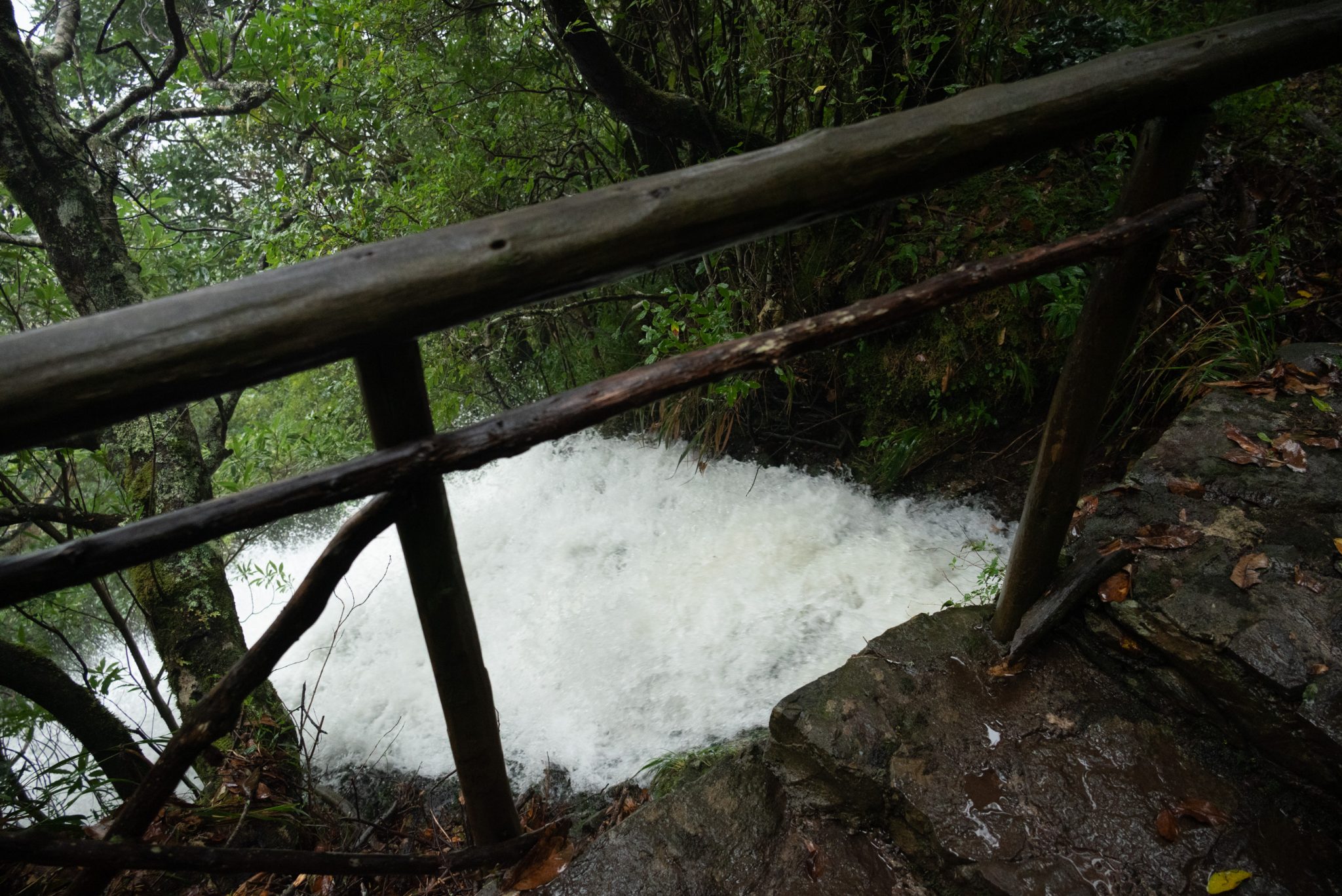 Wanderung von Ribeiro Frio nach Portela entlang der Levada do Furado  auf Madeira durch wunderschönen Lorbeerwald mit traumhaften Aussichten, selbst bei regnerischem Wetter lohnenswert, mystische Atmosphäre