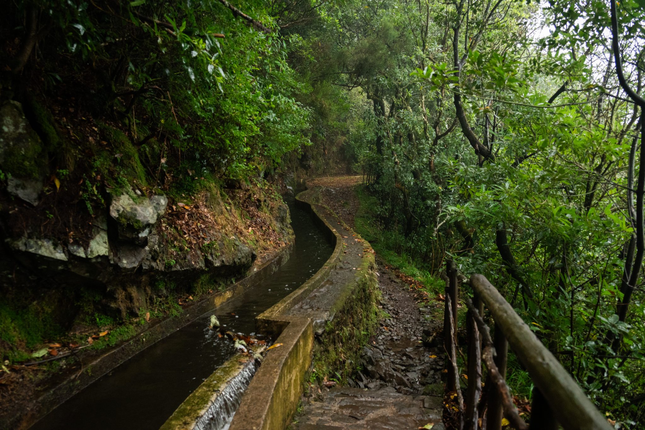 Wanderung von Ribeiro Frio nach Portela entlang der Levada do Furado  auf Madeira durch wunderschönen Lorbeerwald mit traumhaften Aussichten, selbst bei regnerischem Wetter lohnenswert, mystische Atmosphäre