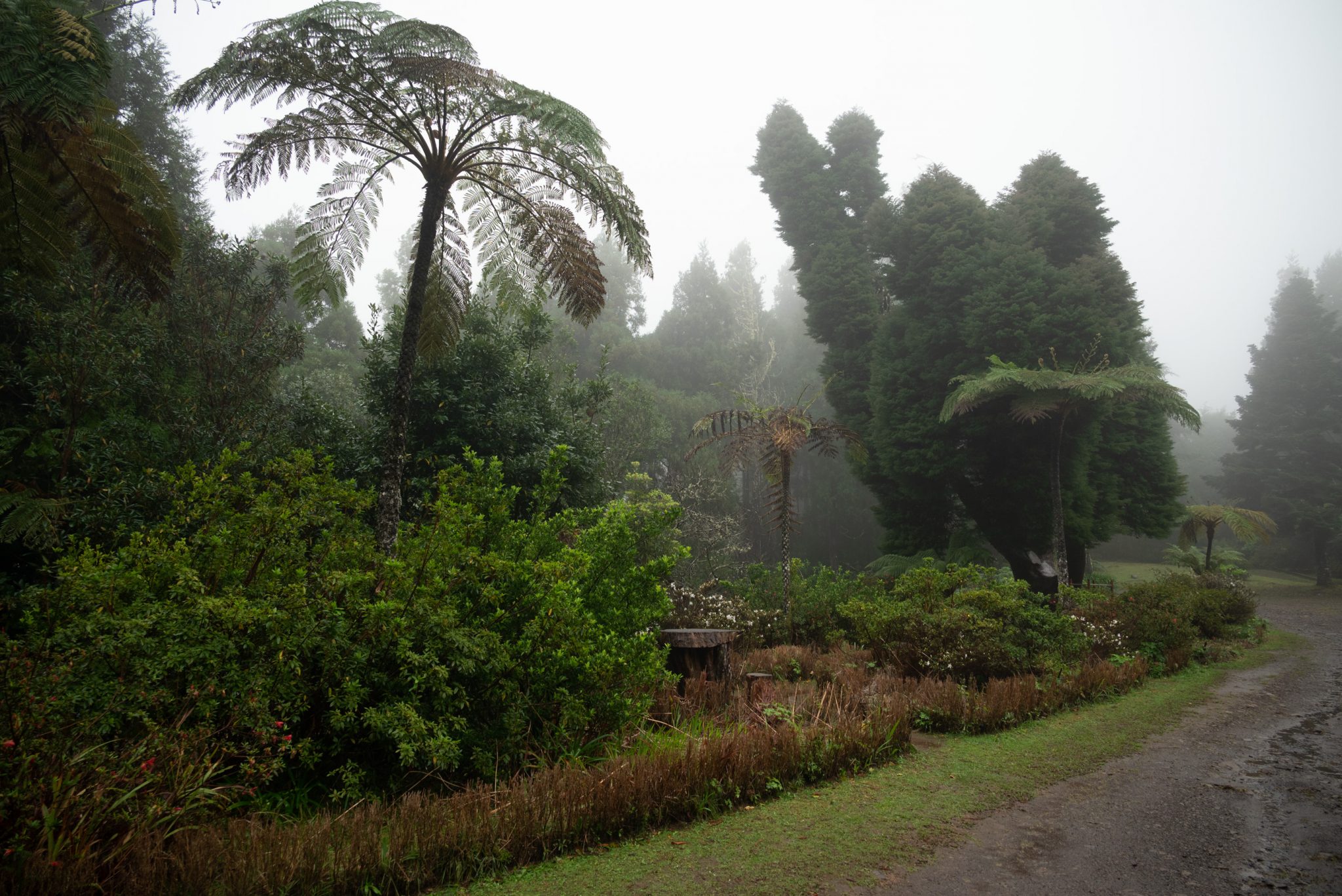 Wanderung von Ribeiro Frio nach Portela entlang der Levada do Furado  auf Madeira durch wunderschönen Lorbeerwald mit traumhaften Aussichten, selbst bei regnerischem Wetter lohnenswert, mystische Atmosphäre