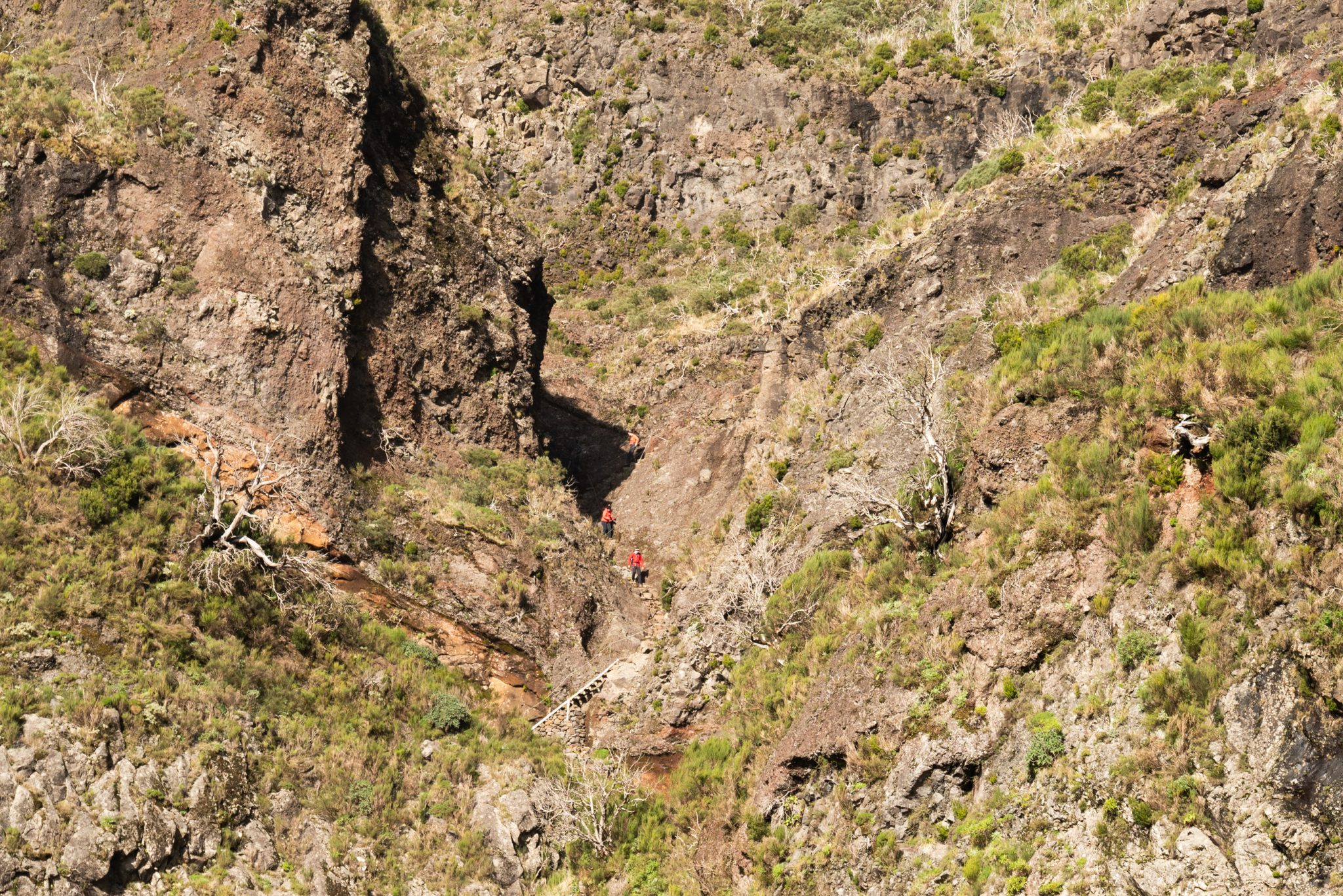 Madeira - Portugal - Wanderung - Hiking Wanderung auf den Pico Ruivo: Die ultimative Bergtour auf Madeira