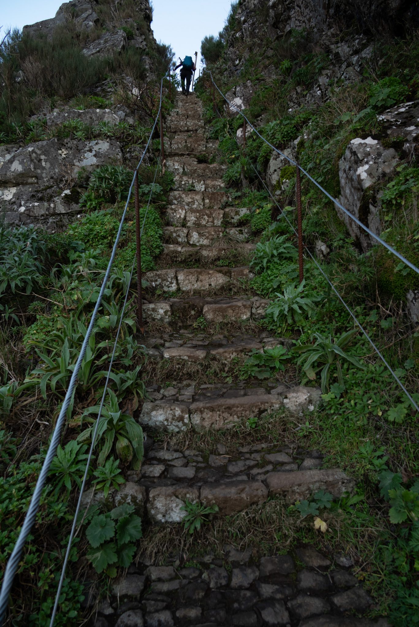 Madeira - Portugal - Wanderung - Hiking Wanderung auf den Pico Ruivo: Die ultimative Bergtour auf Madeira