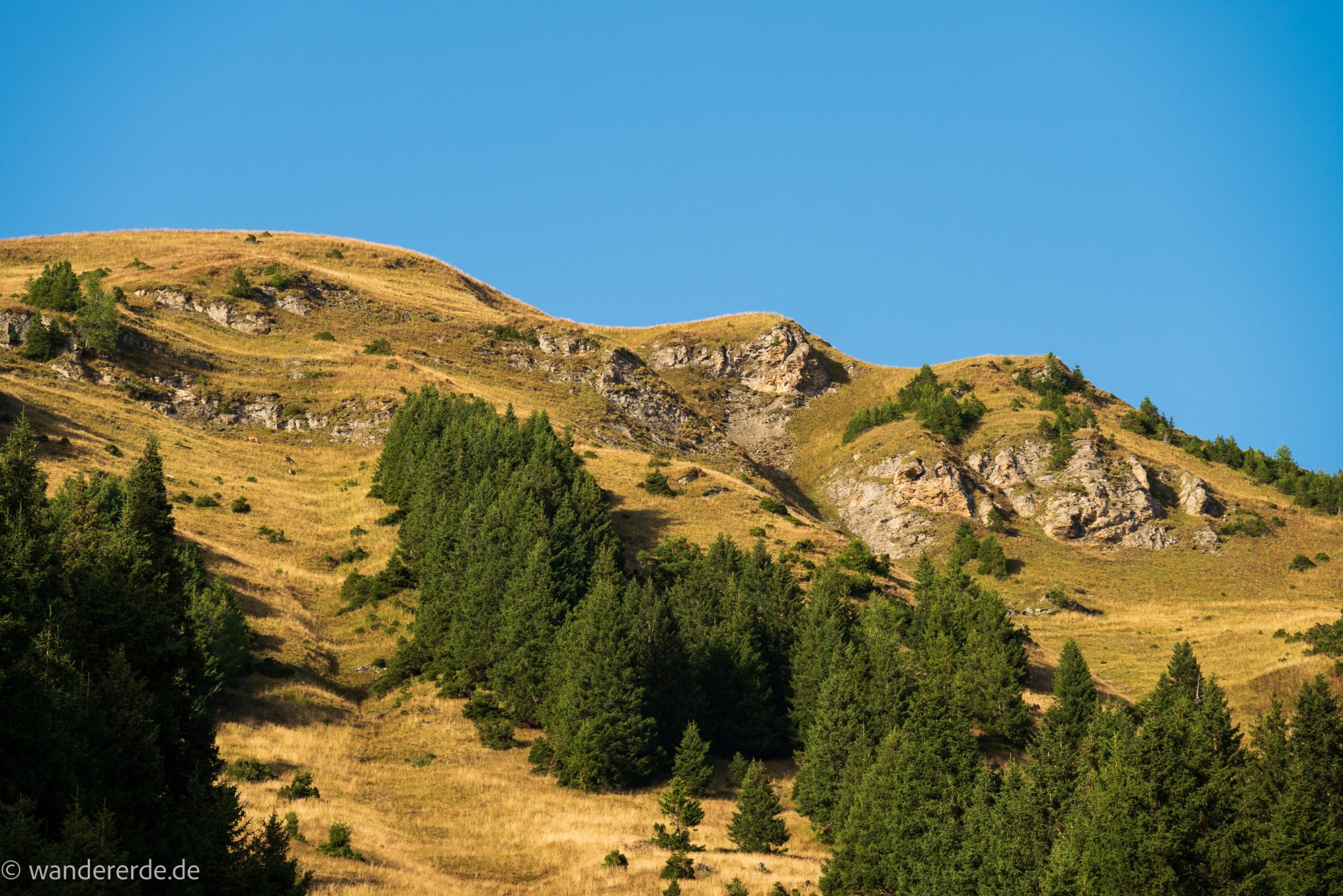 Wanderung auf den Gamskarkogel in Bad Gastein