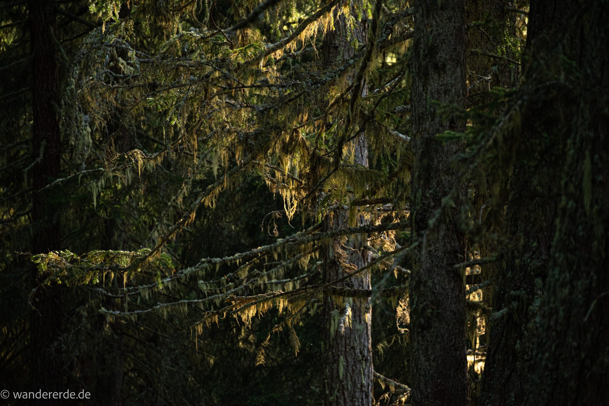 Wanderung auf den Gamskarkogel in Bad Gastein