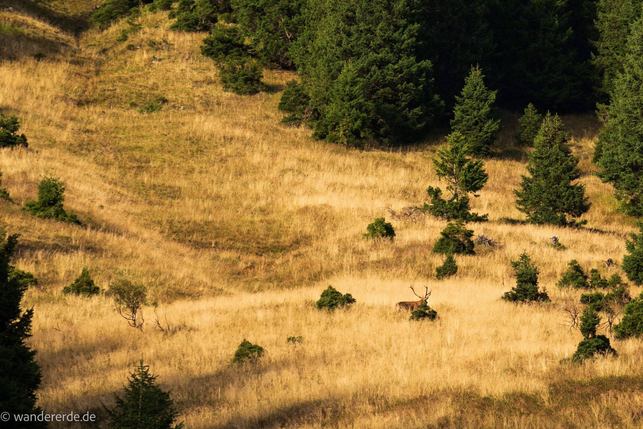 Wanderung auf den Gamskarkogel in Bad Gastein