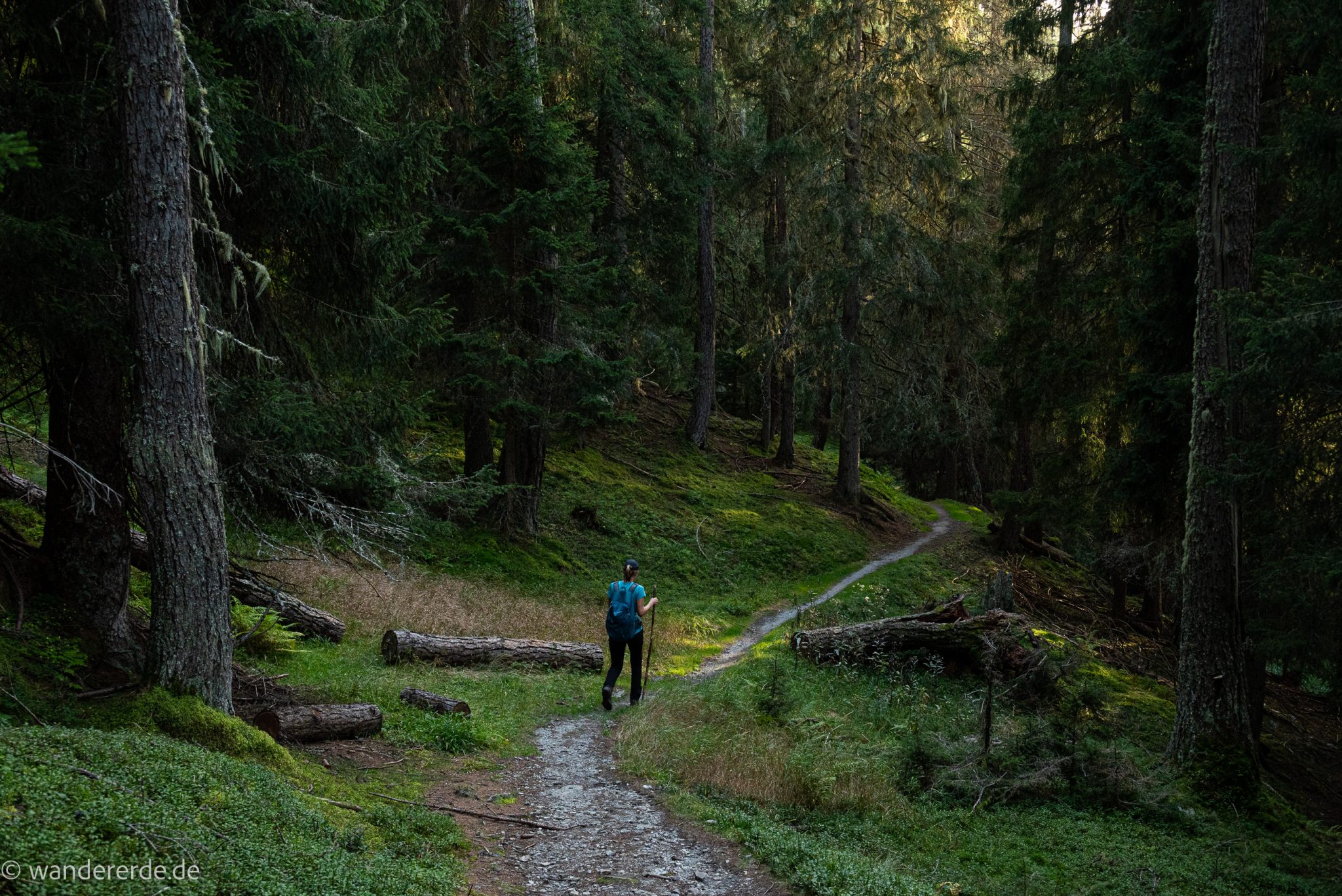 Wanderung auf den Gamskarkogel in Bad Gastein
