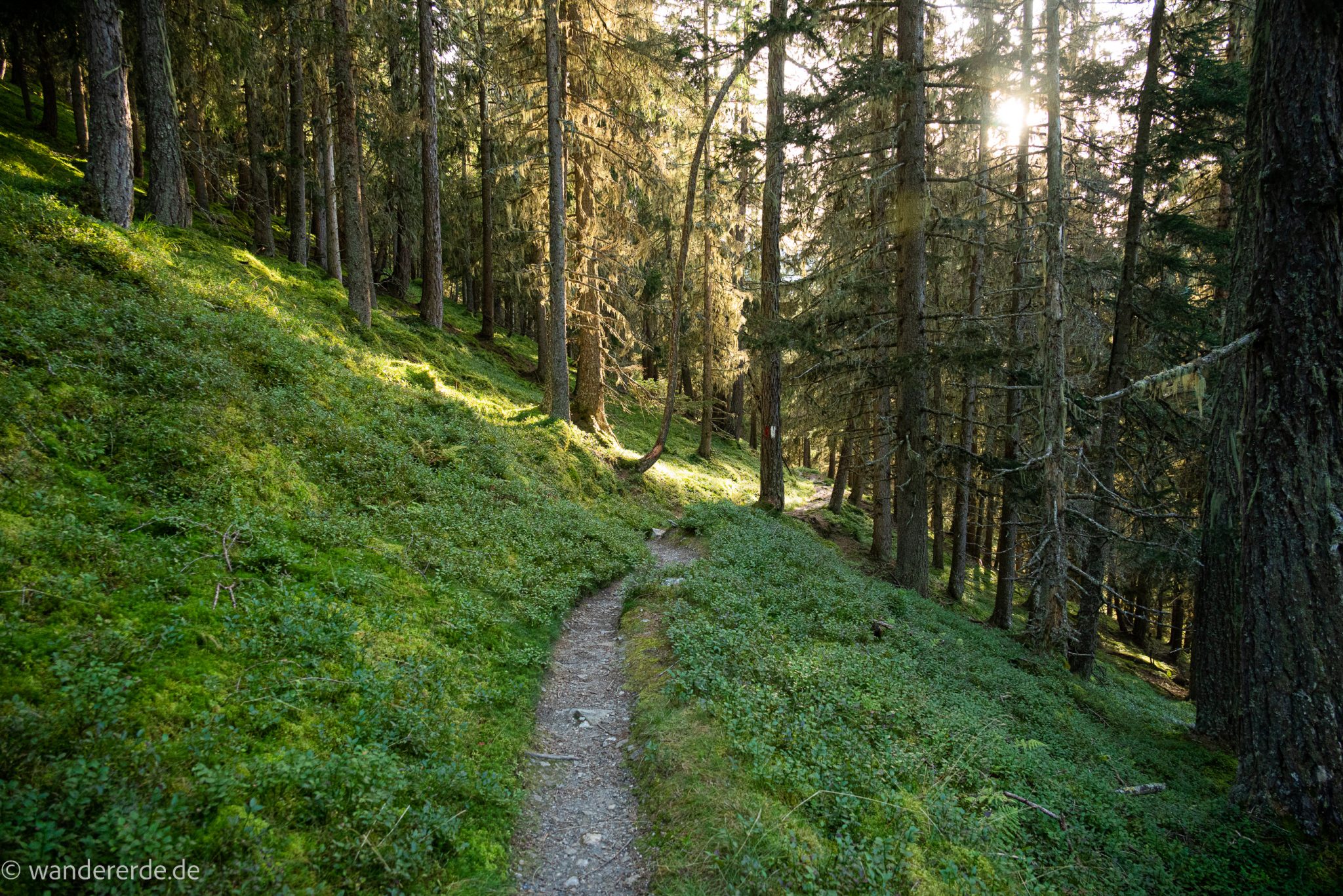 Wanderung auf den Gamskarkogel in Bad Gastein