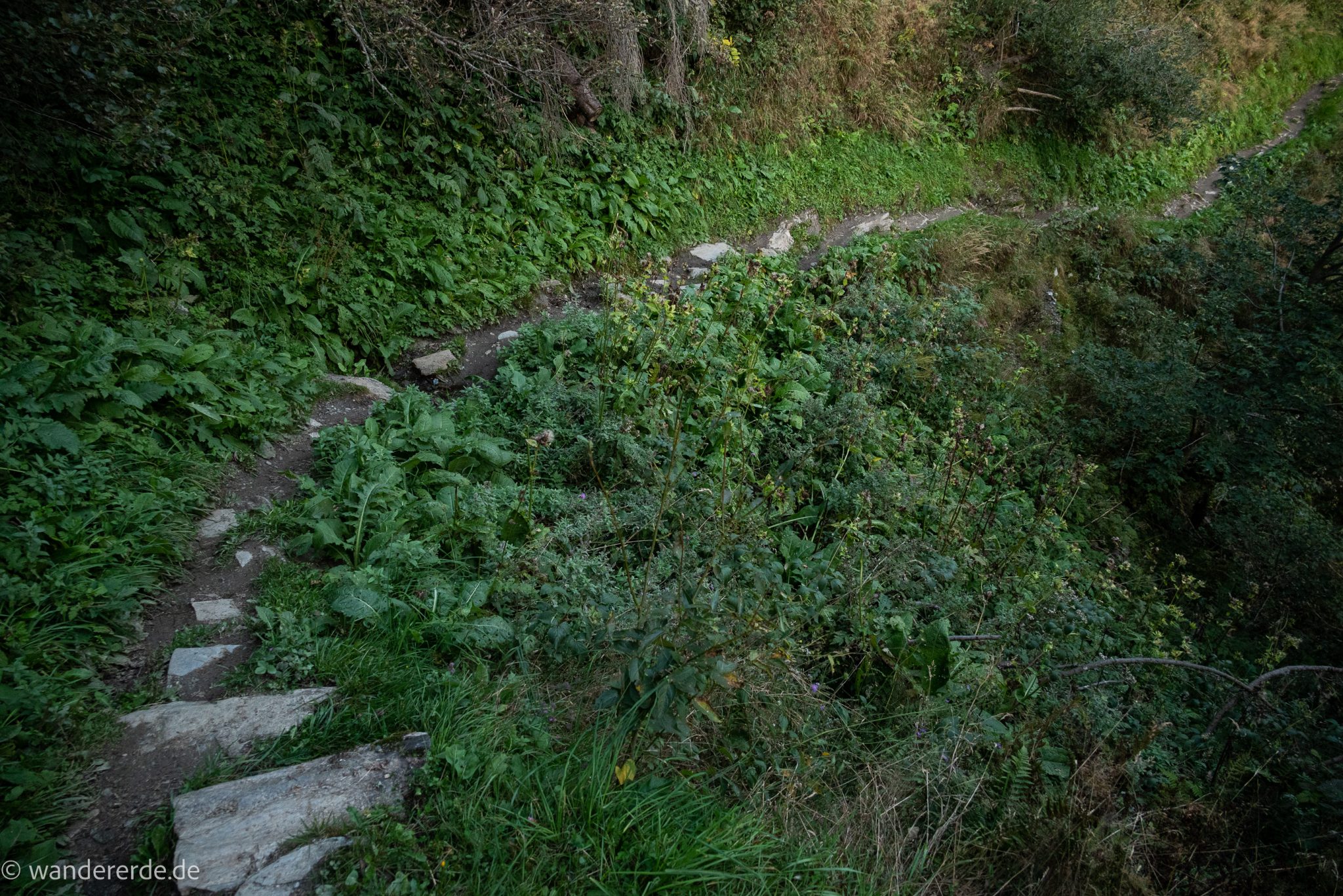 Wanderung auf den Gamskarkogel in Bad Gastein