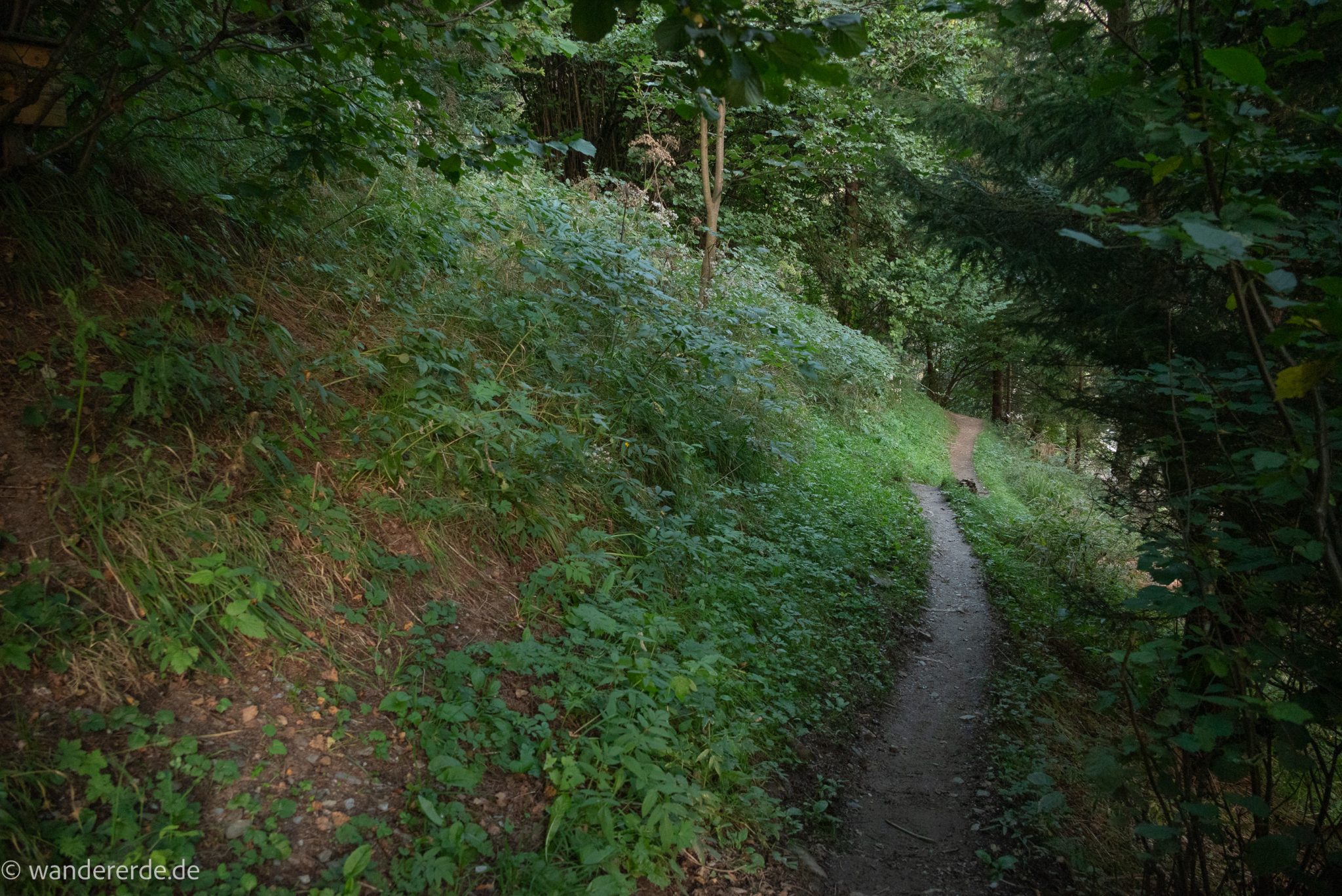 Wanderung auf den Gamskarkogel in Bad Gastein