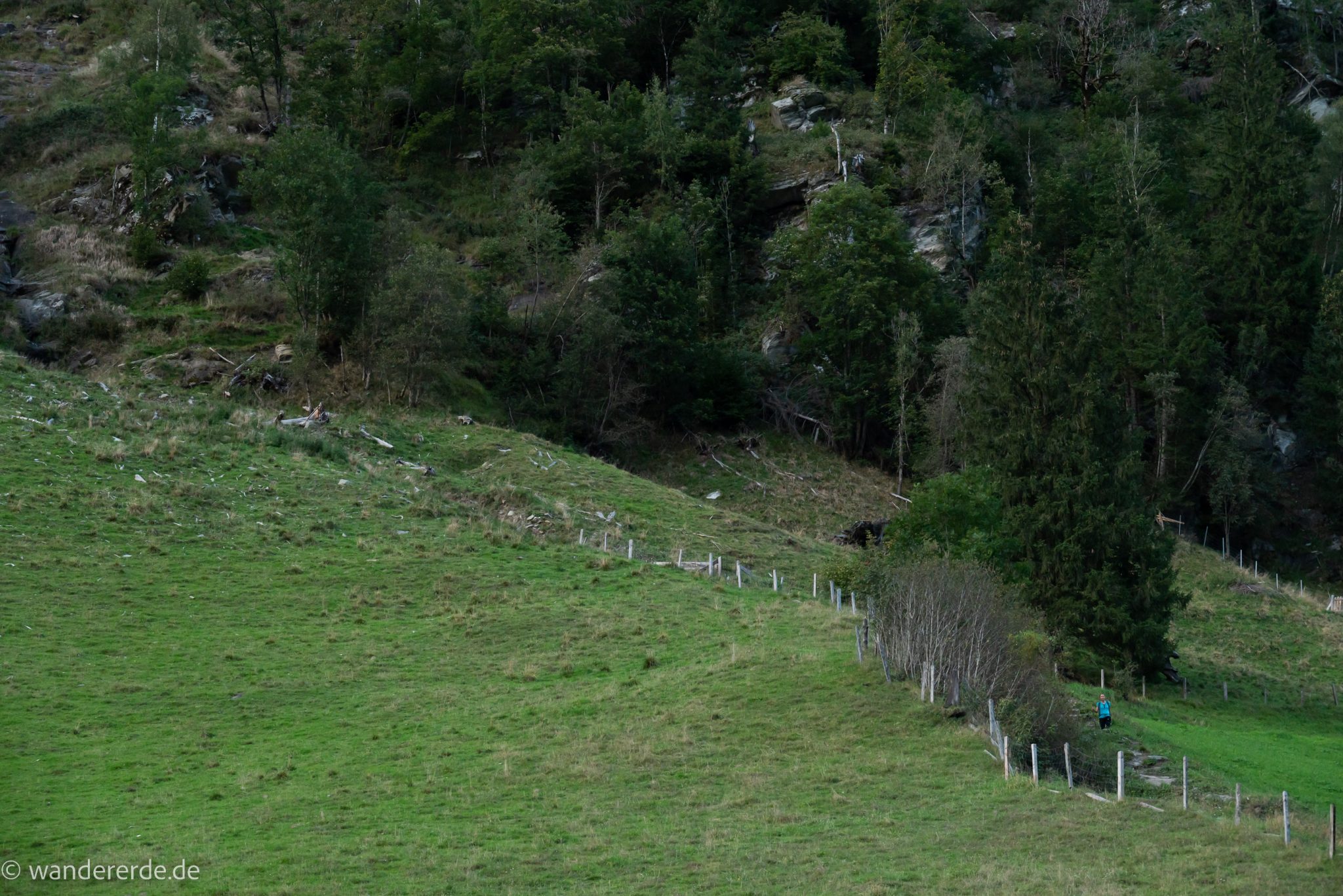 Wanderung auf den Gamskarkogel in Bad Gastein