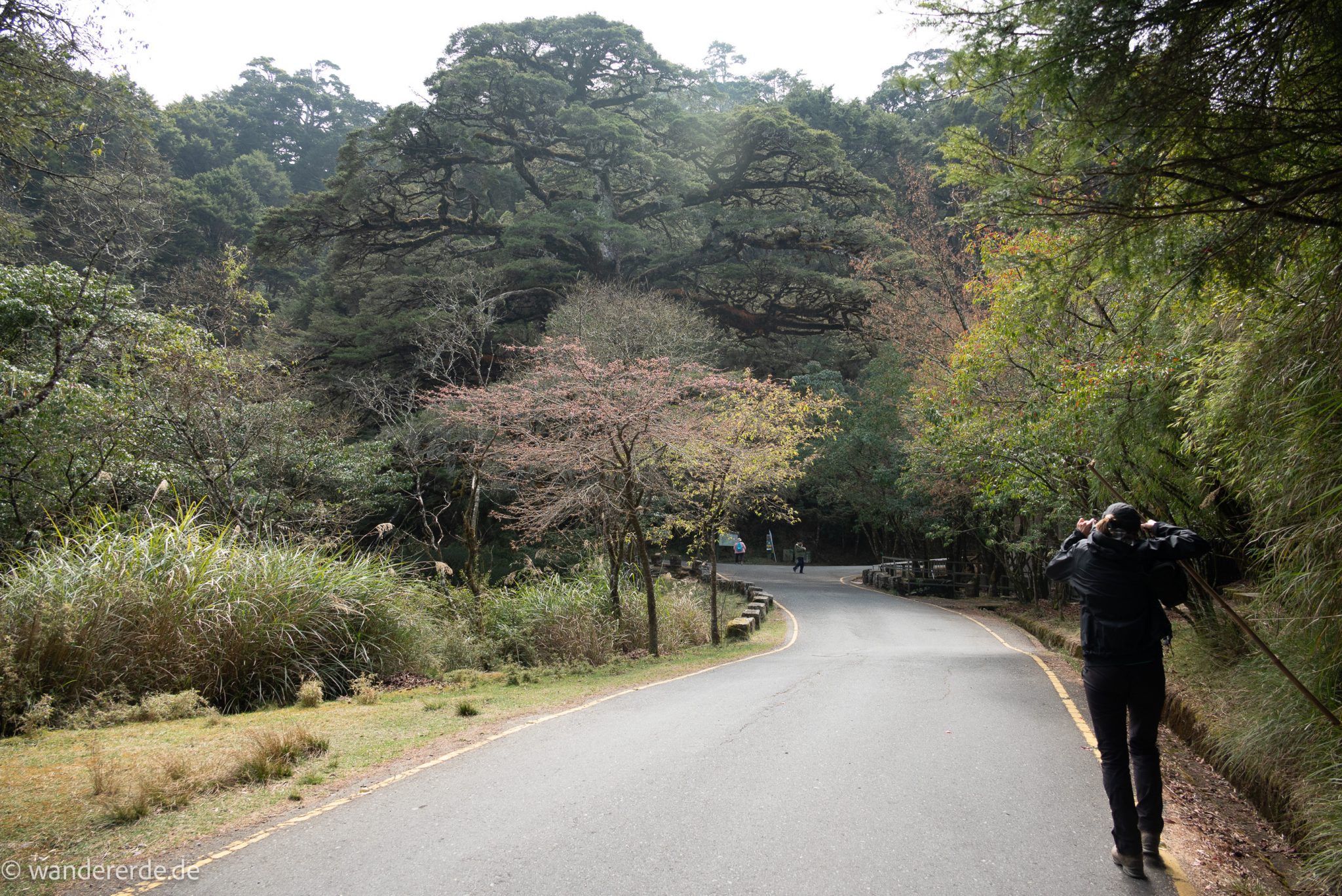 Yushan Front Peak Wandern