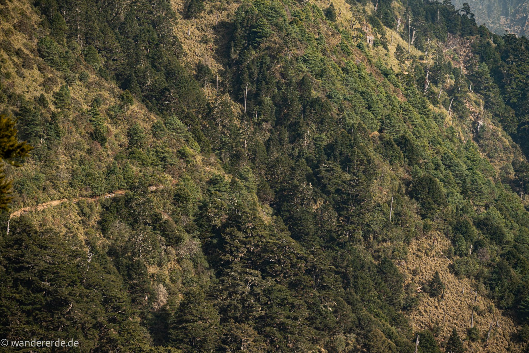 Yushan Front Peak Wandern