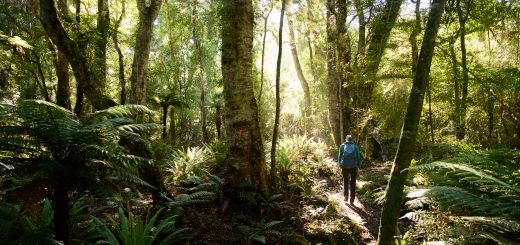 Wanderung auf den Old Possumers Track in Otago Neuseeland